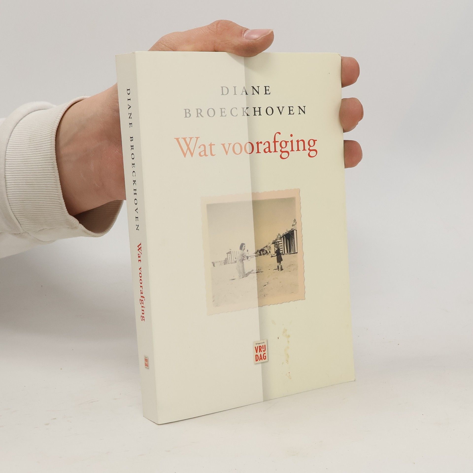 Diane Broeckhoven Wat voorafging