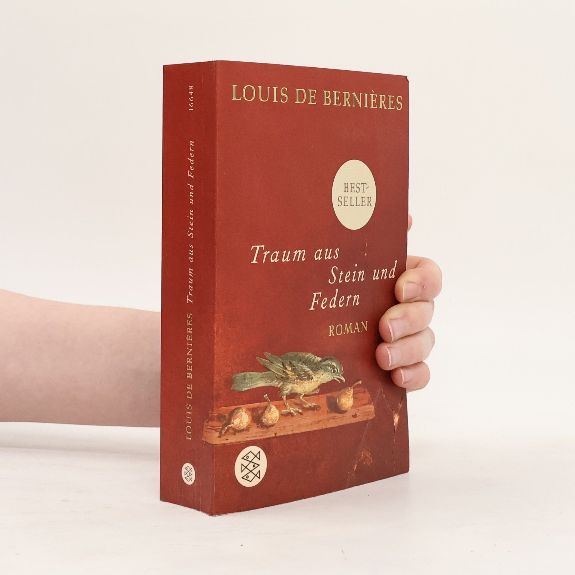 Louis de Bernières Traum aus Stein und Federn