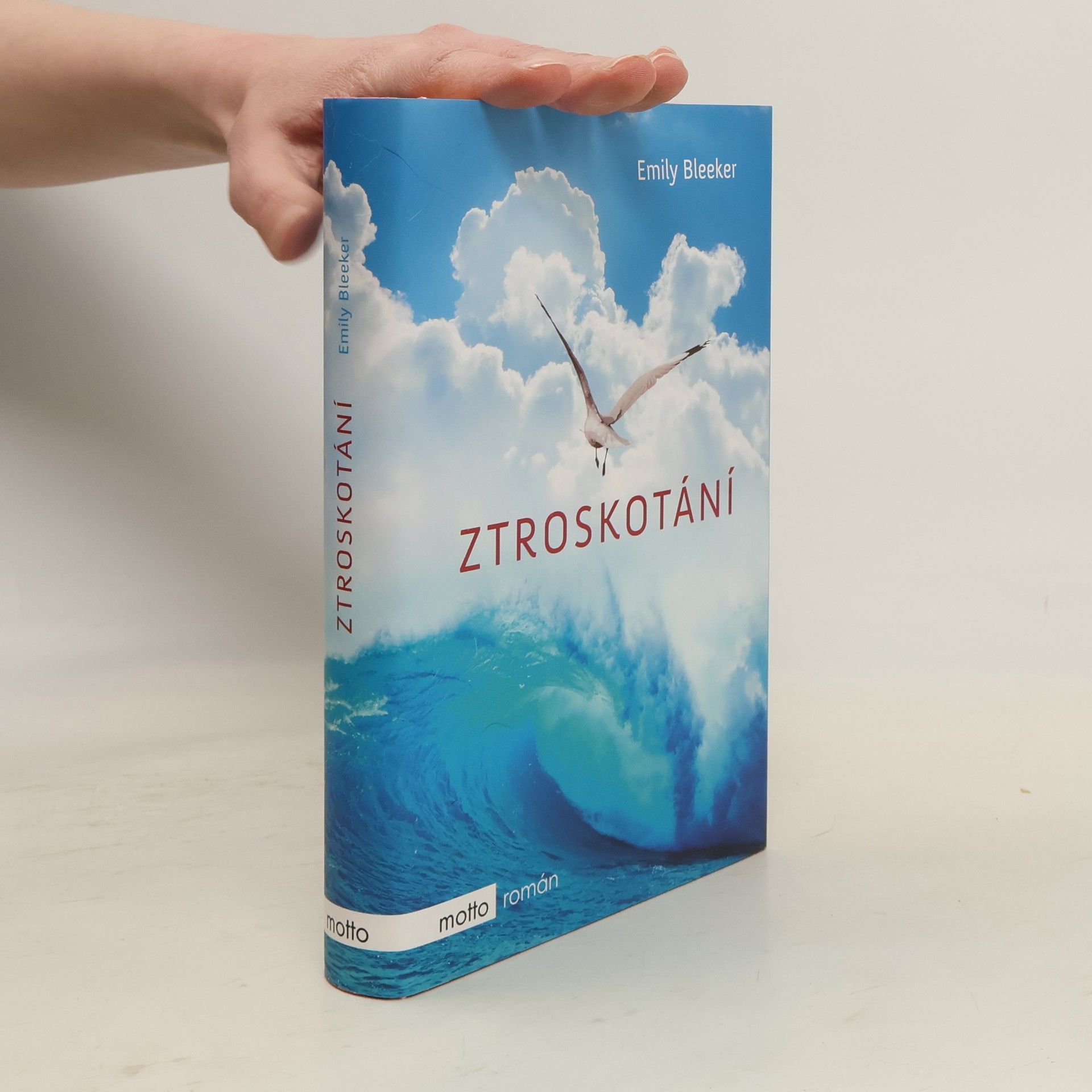 Emily Bleeker Ztroskotání
