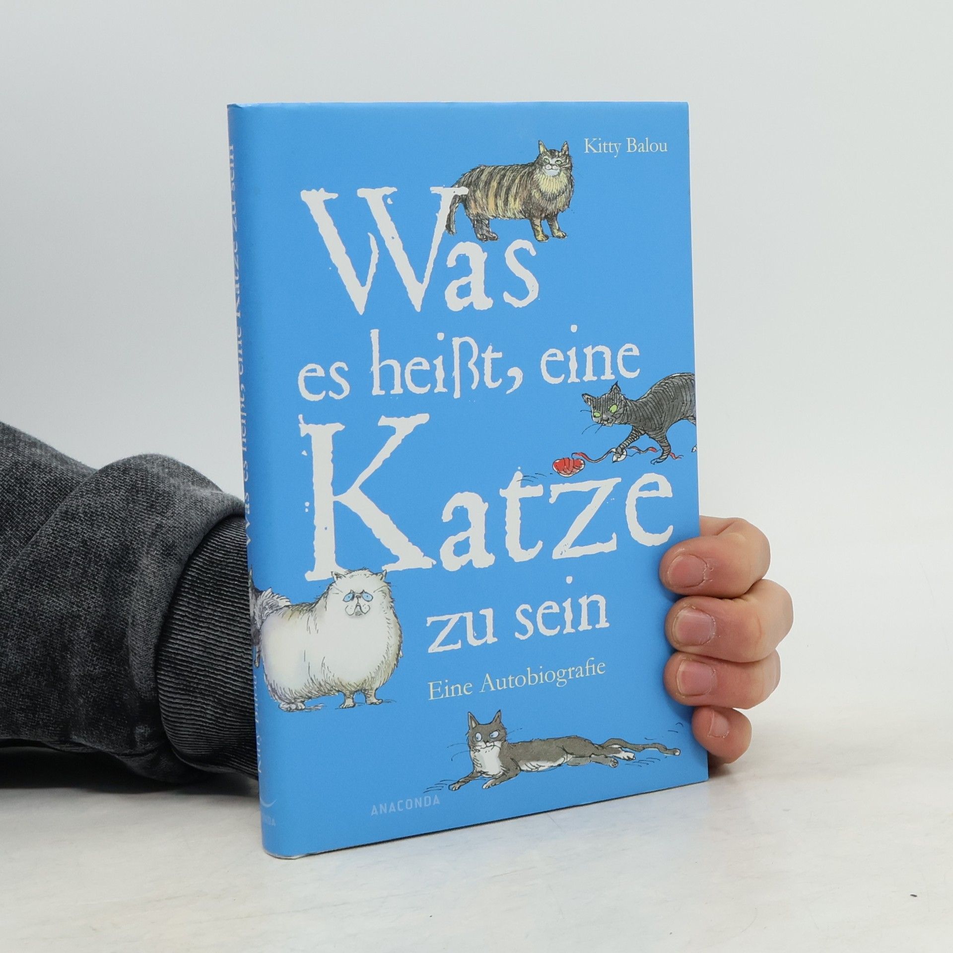 Kitty Balou Was es heißt, eine Katze zu sein