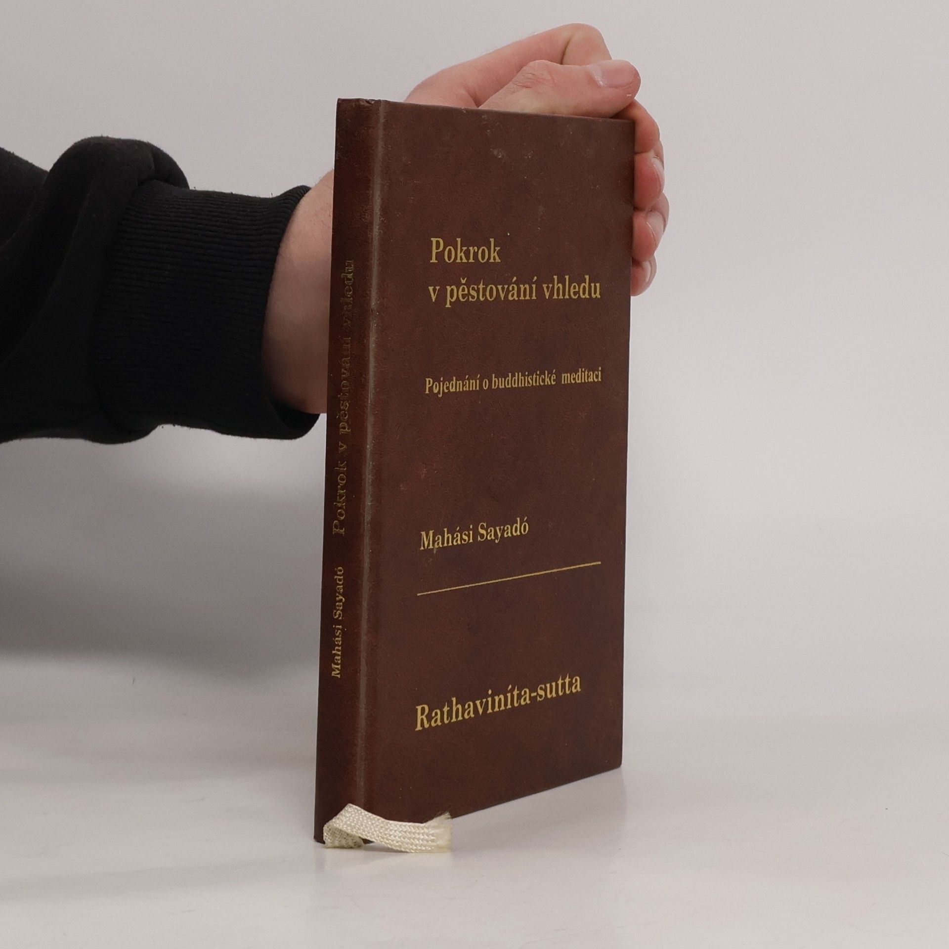 Mahási Sayadó Pokrok v pěstování vhledu. Moderní pojednání o buddhistické satipatthána meditaci
