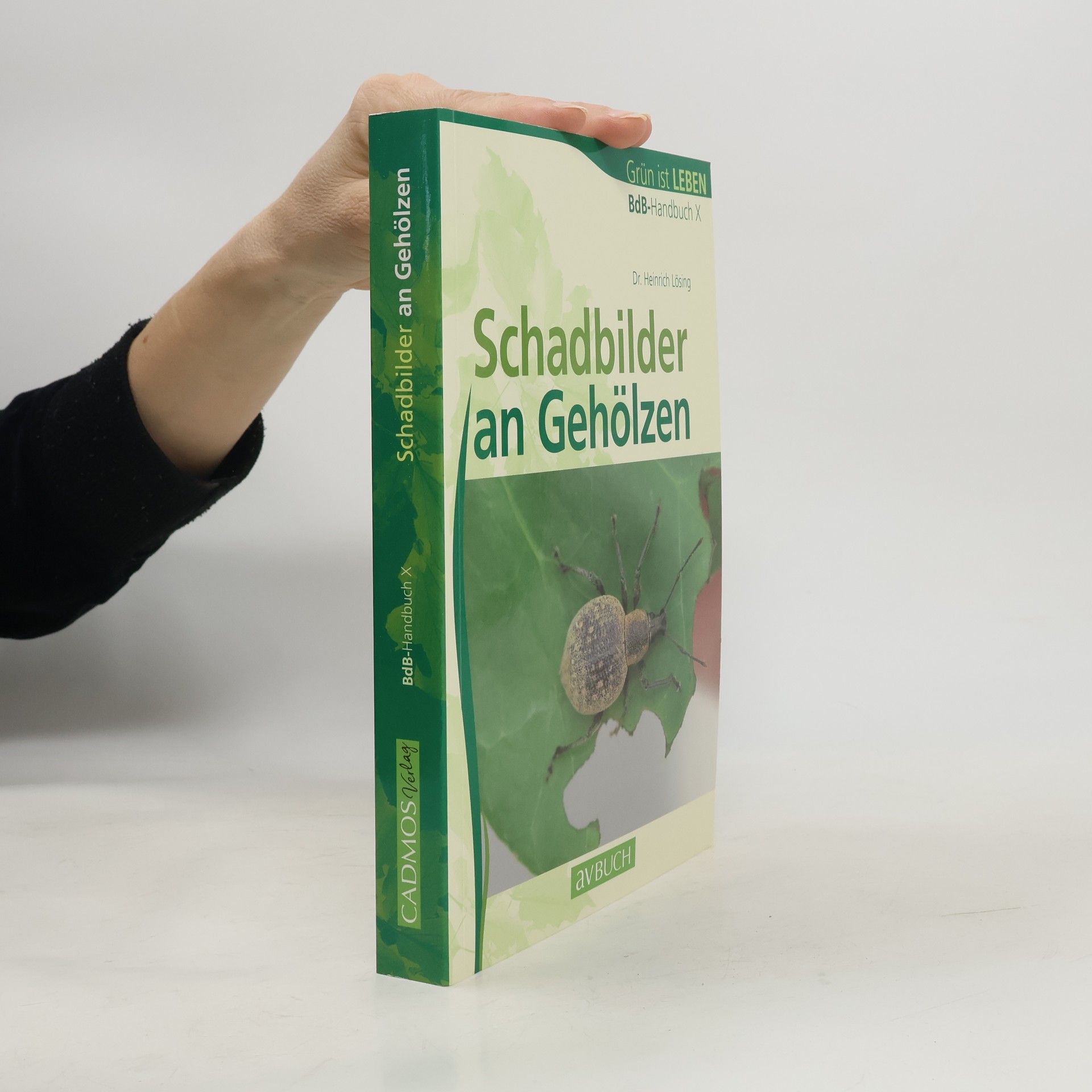 Dr. Heinrich Lösing Schadbilder an Gehölzen