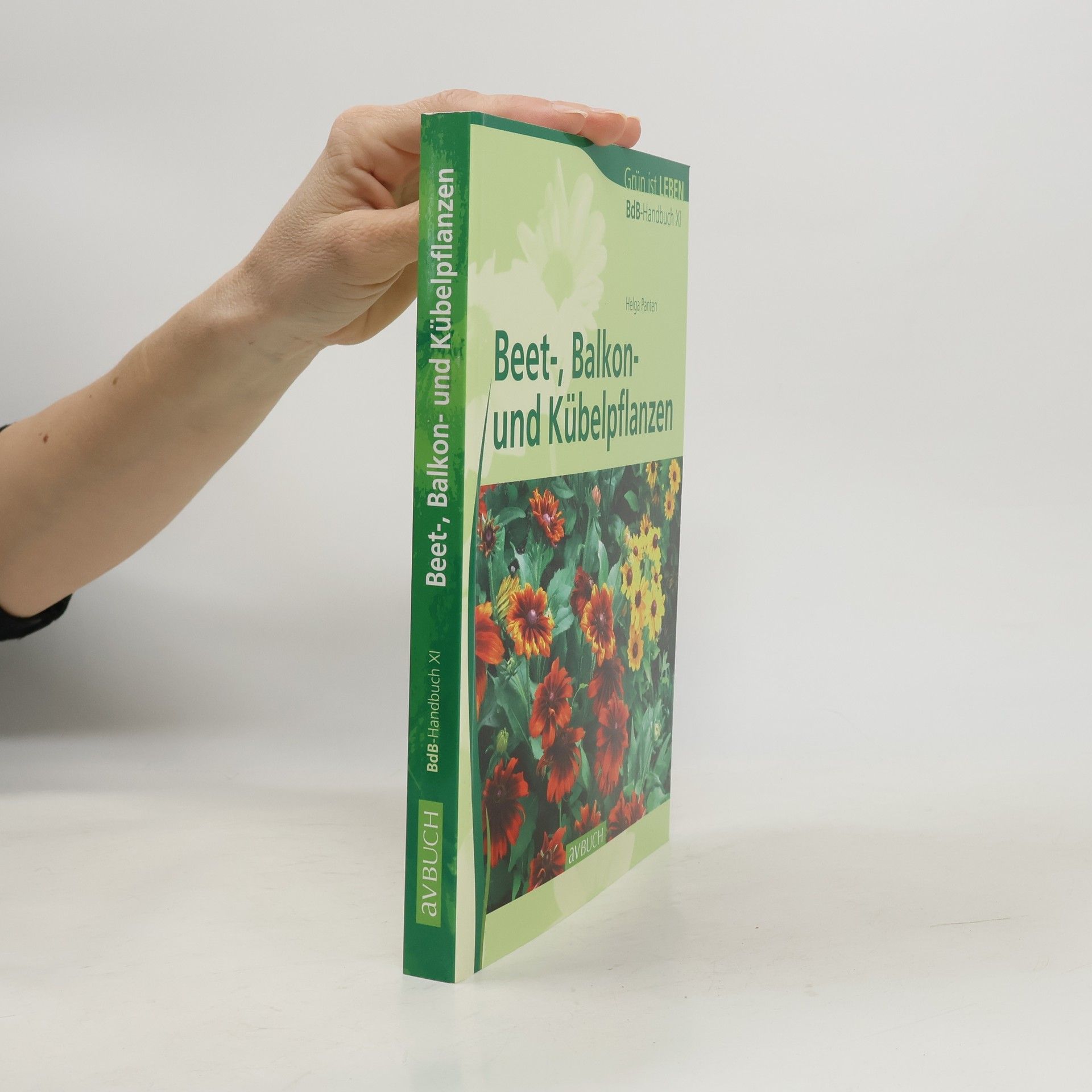 Helga Panten BdB-Handbuch - 11: Beet-, Balkon- und Kübelpflanzen