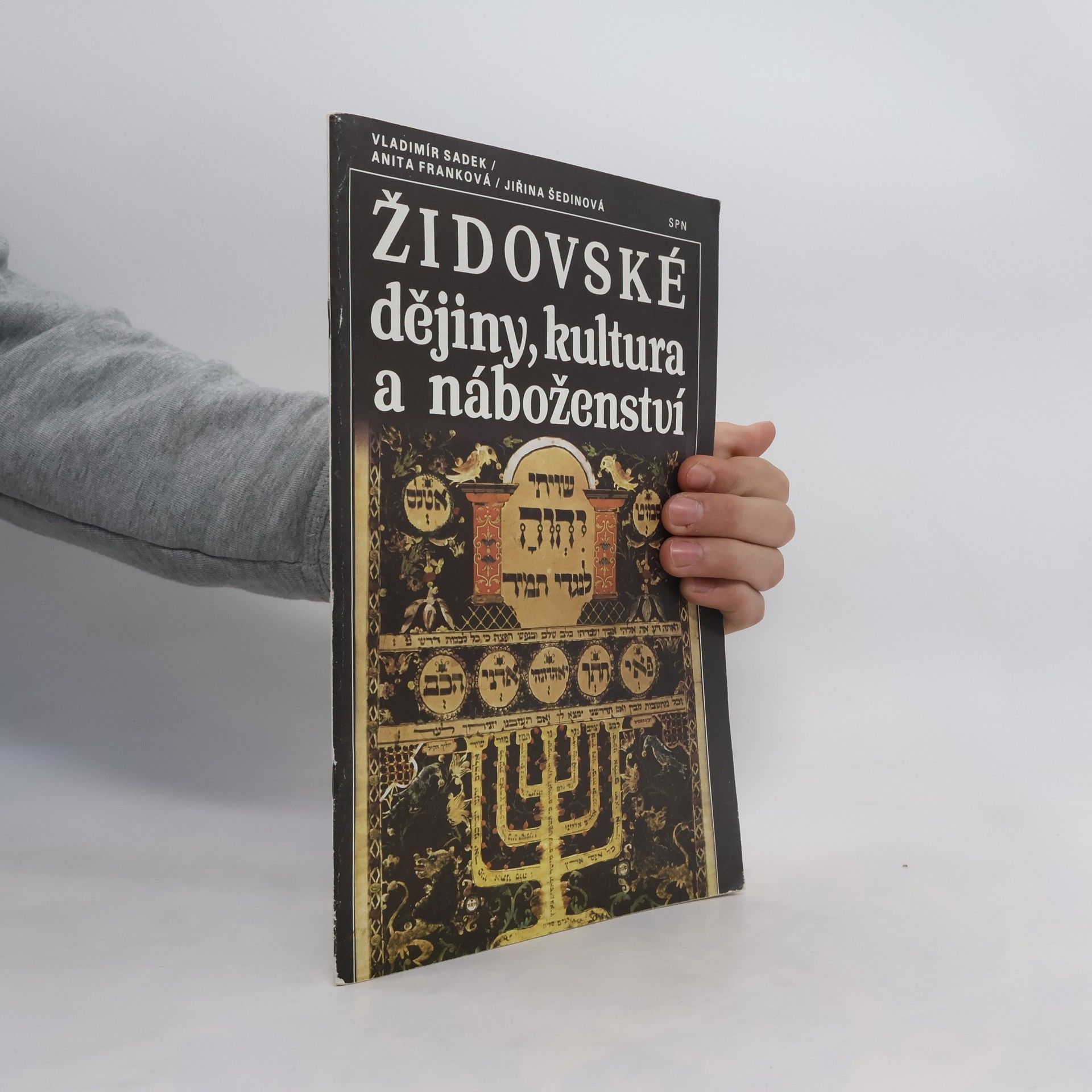 Vladimír Sadek Židovské dějiny, kultura a náboženství