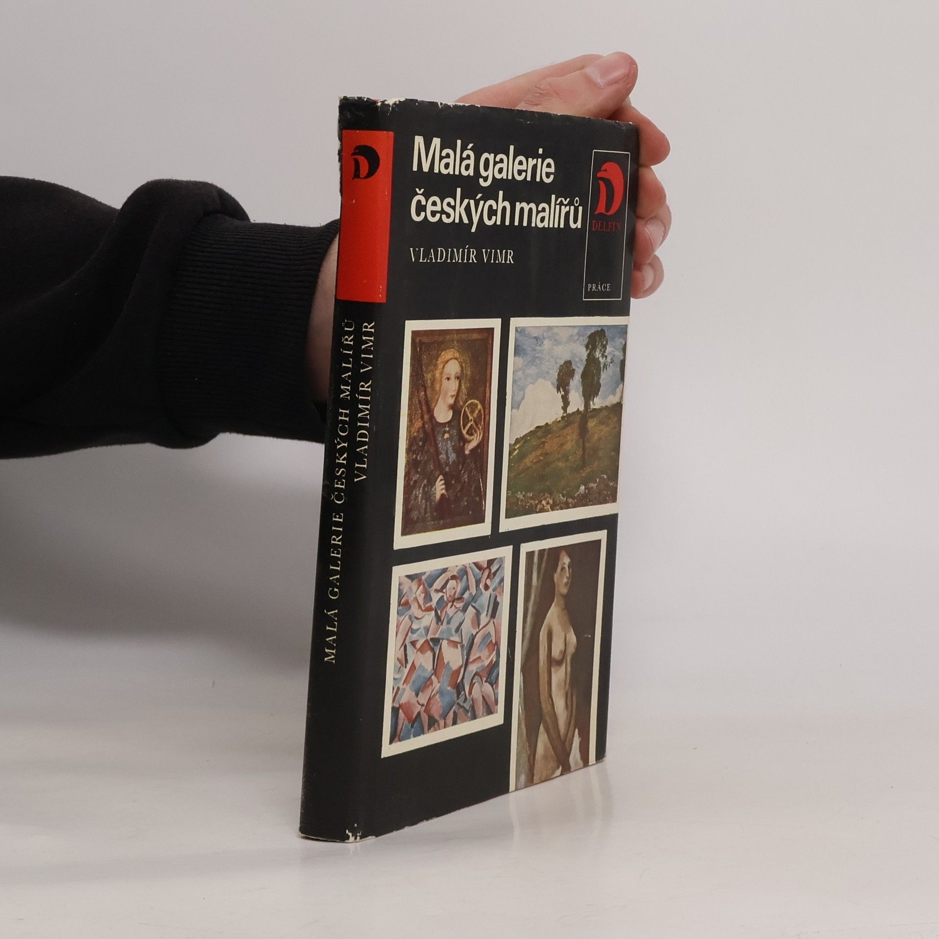 Vladimír Vimr Malá galerie českých malířů