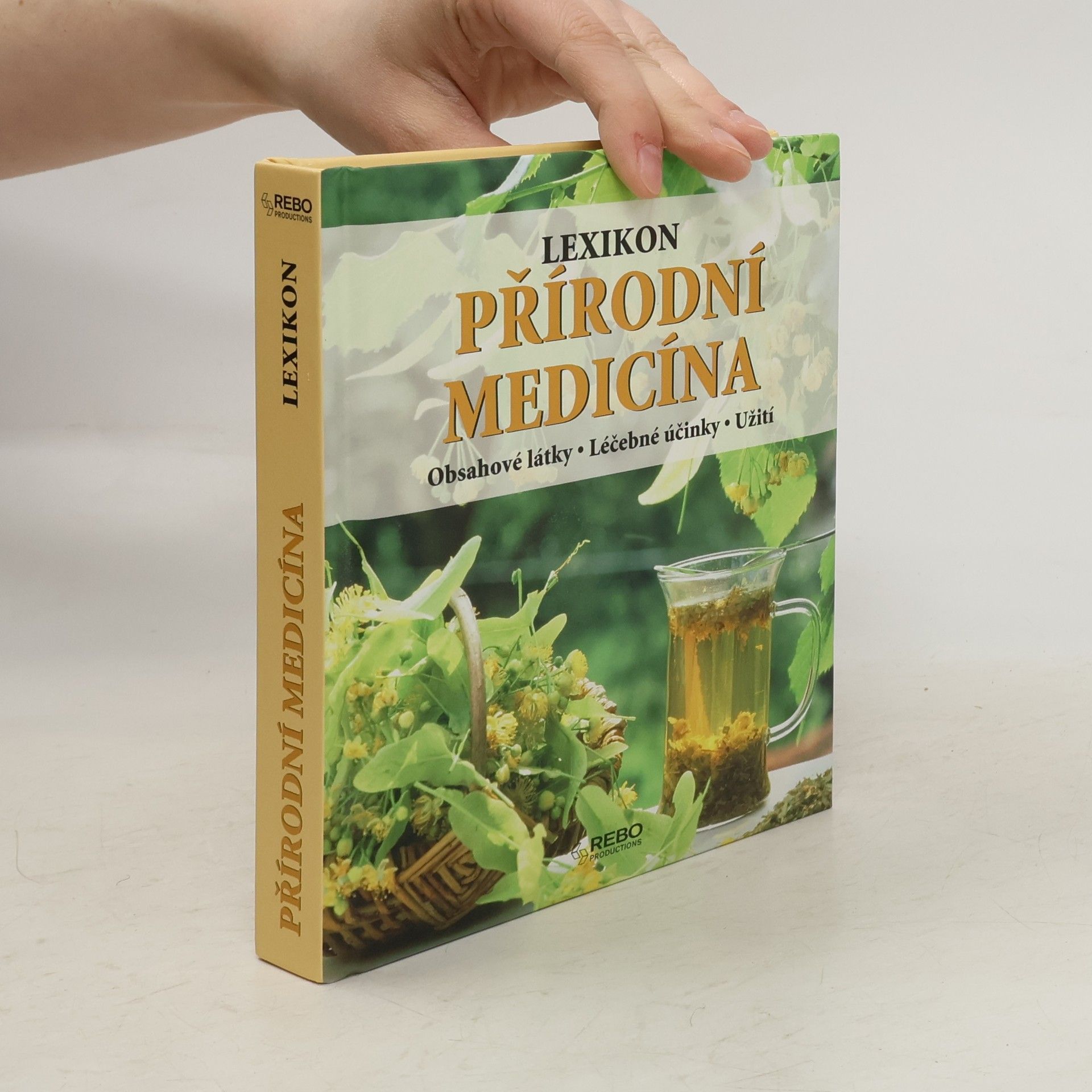 Anne Iburg Přírodní medicína: obsahové látky, léčebné účinky, užití