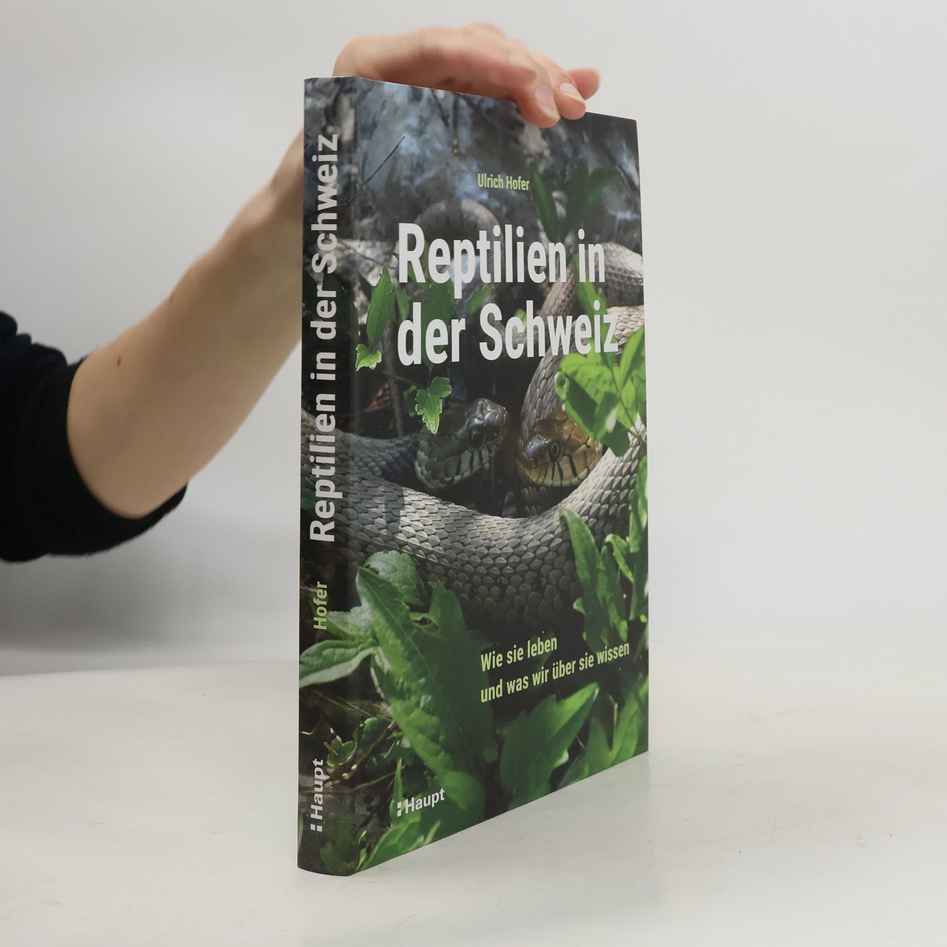 Ulrich Hofer Reptilien in der Schweiz