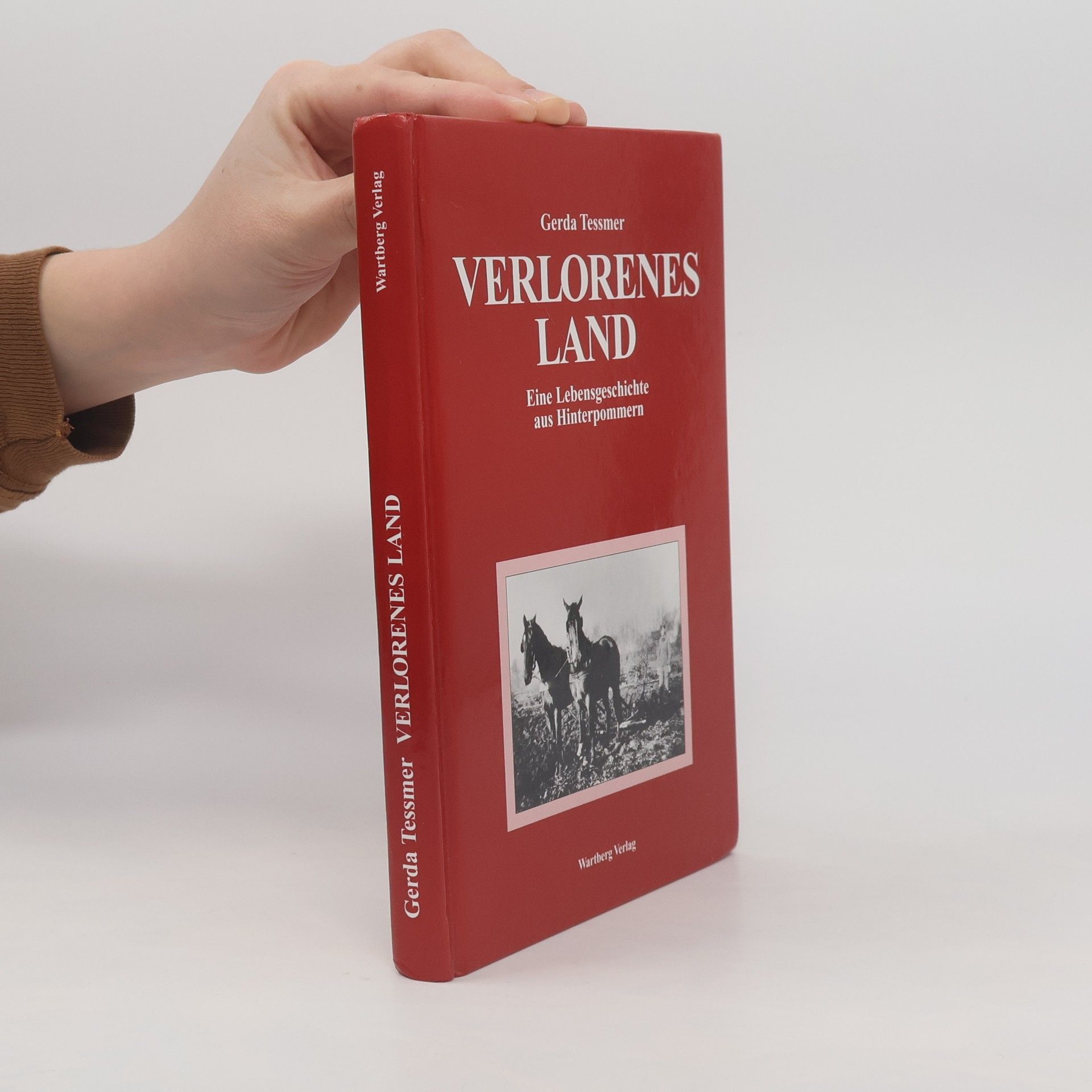 Gerda Tessmer Verlorenes Land