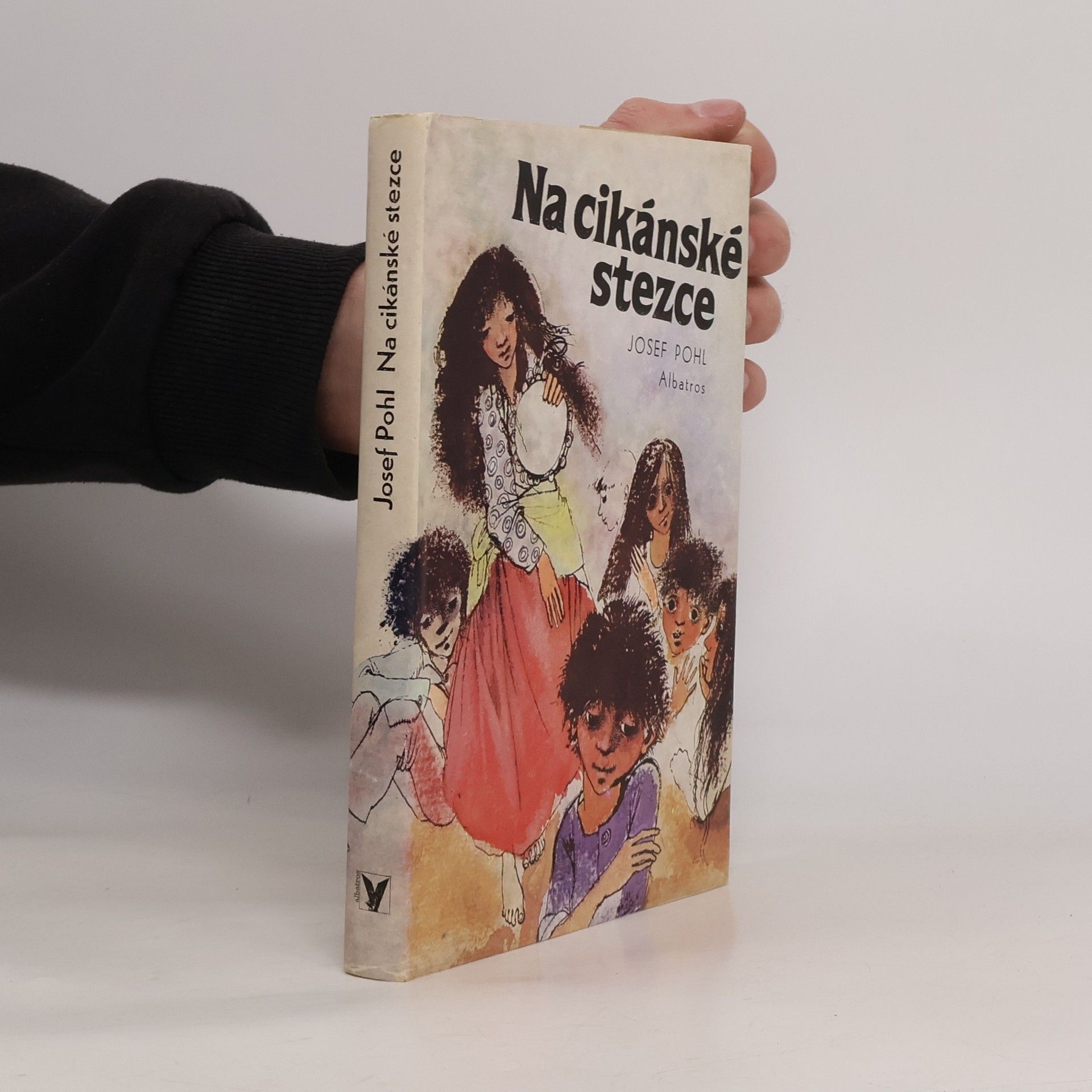 Josef Pohl Na cikánské stezce