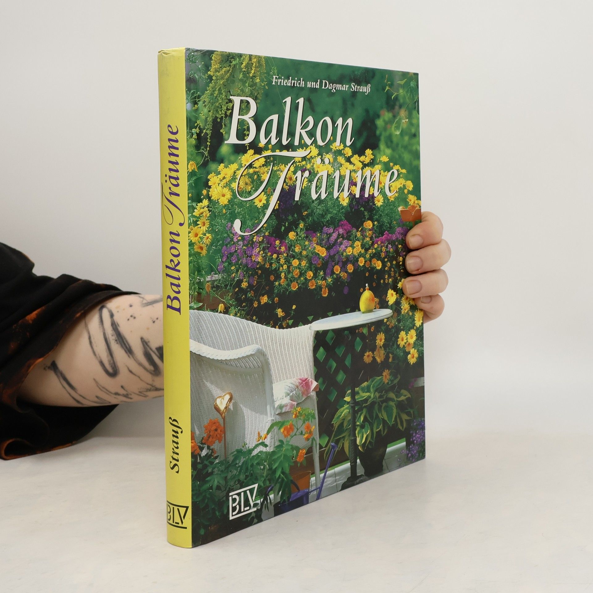 Friedrich Strauß Balkon-Träume