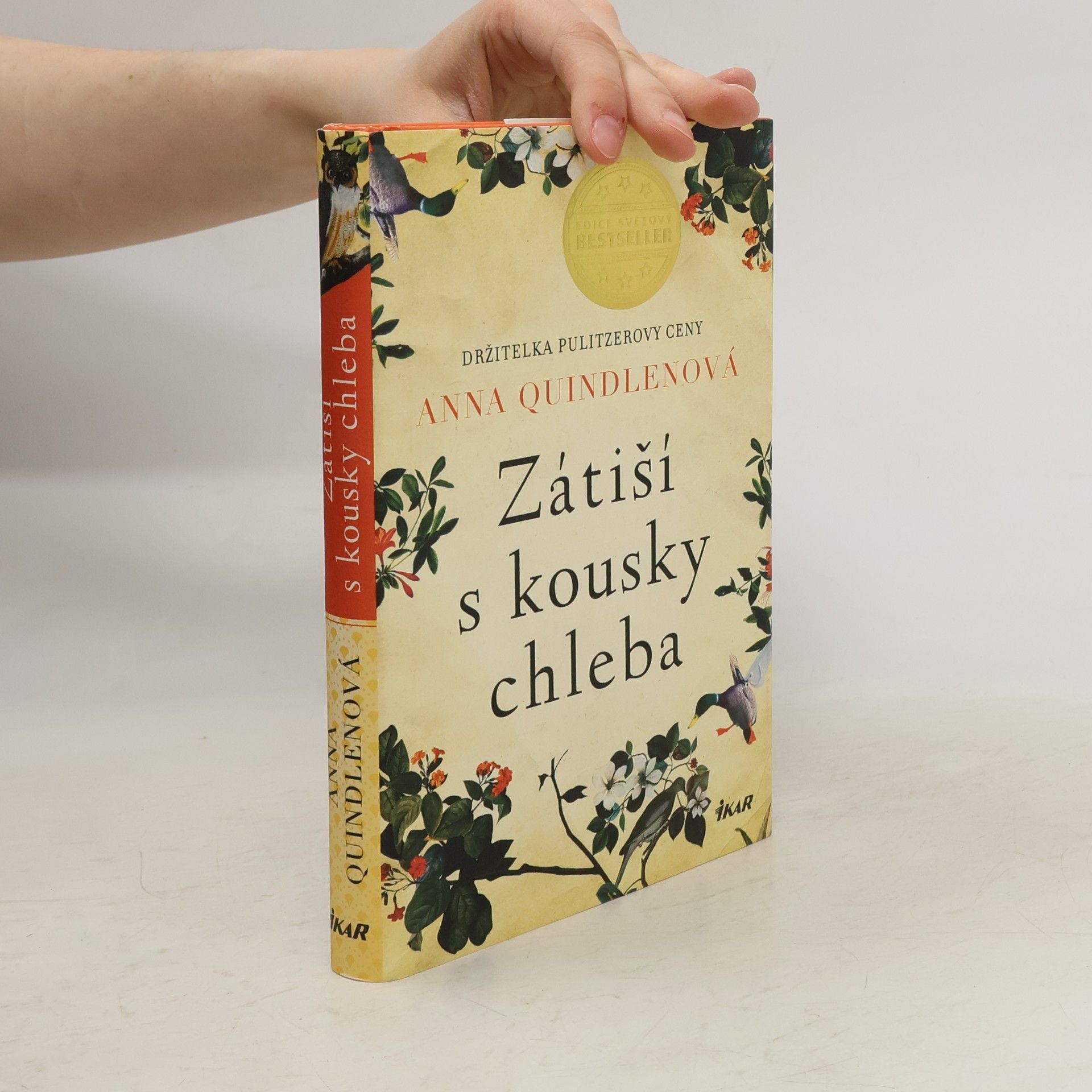 Anna Quindlen Zátiší s kousky chleba