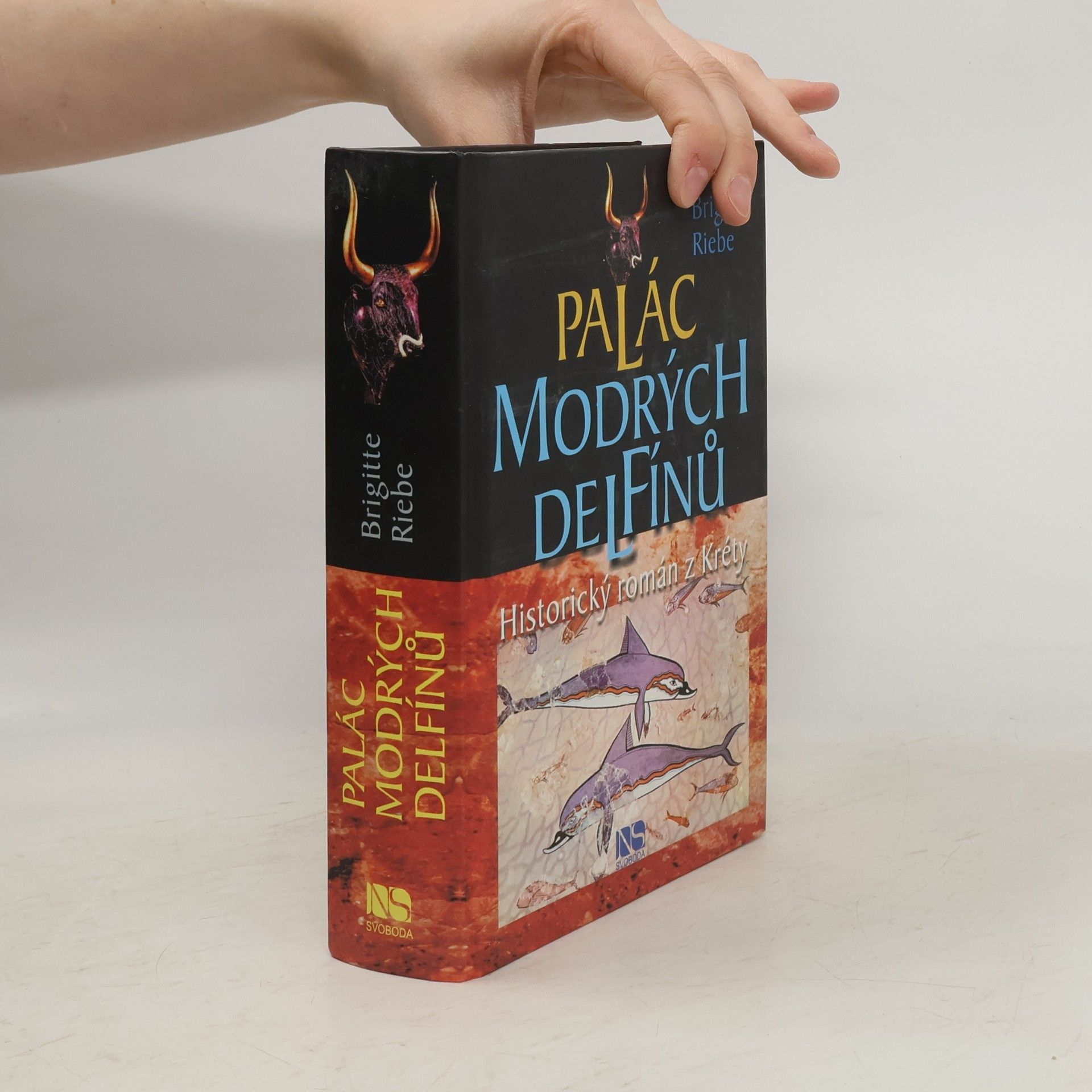 Brigitte Riebe Palác modrých delfínů