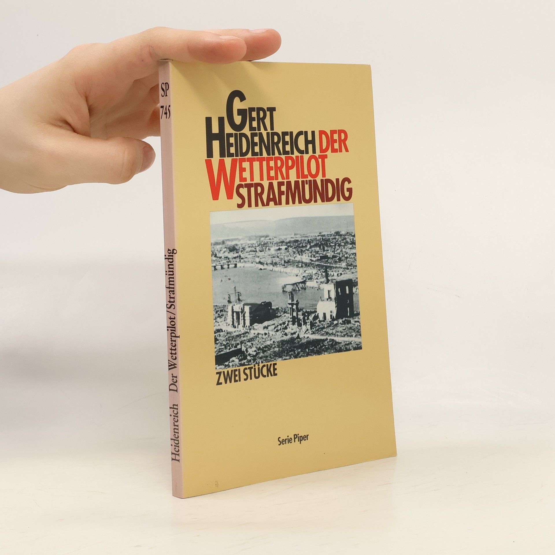 Gert Heidenreich Serie Piper: Der Wetterpilot. Strafmündig. Zwei Theaterstücke.