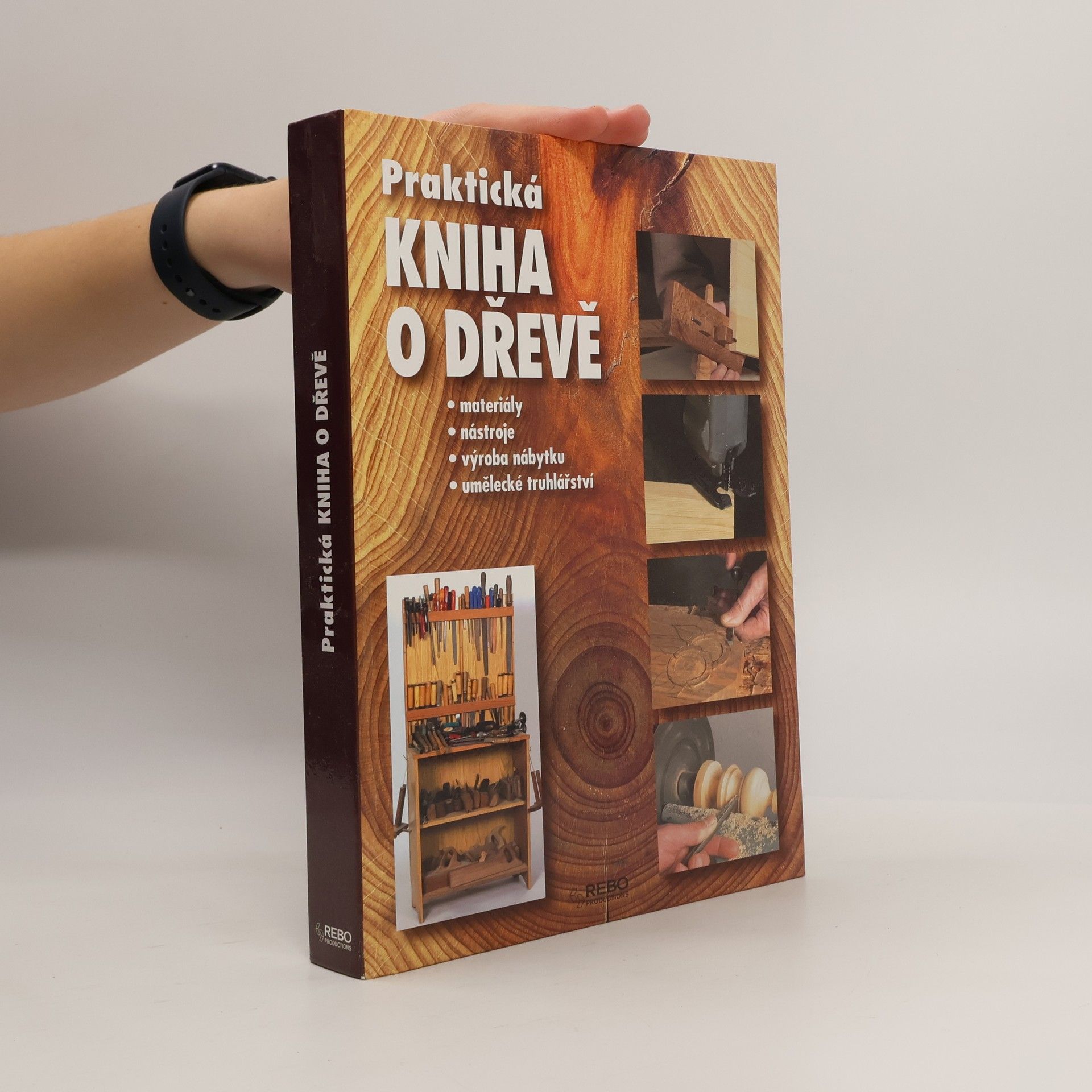 Jordi Vigué-Martín Praktická kniha o dřevě