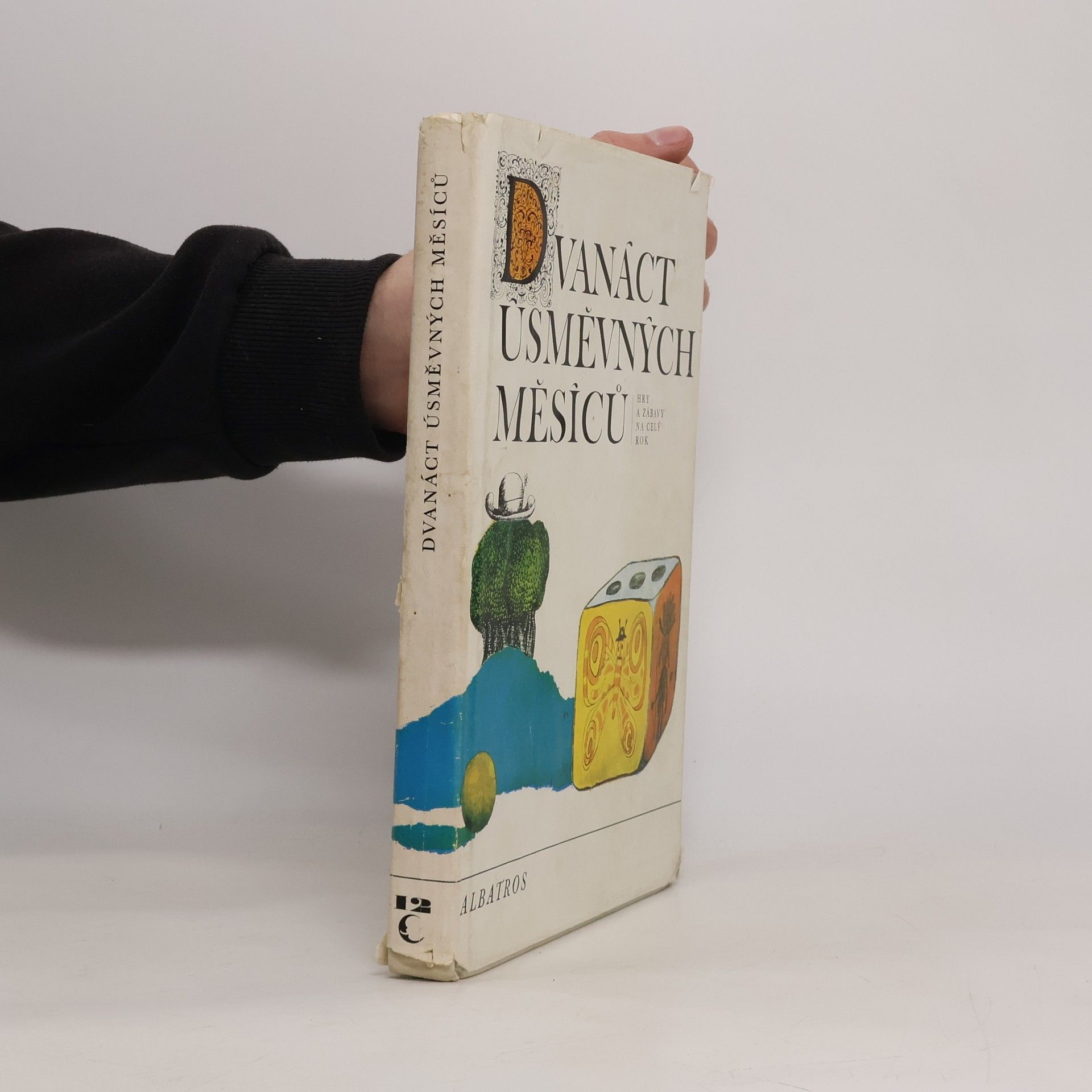 Kolektiv autorů Dvanáct úsměvných měsíců