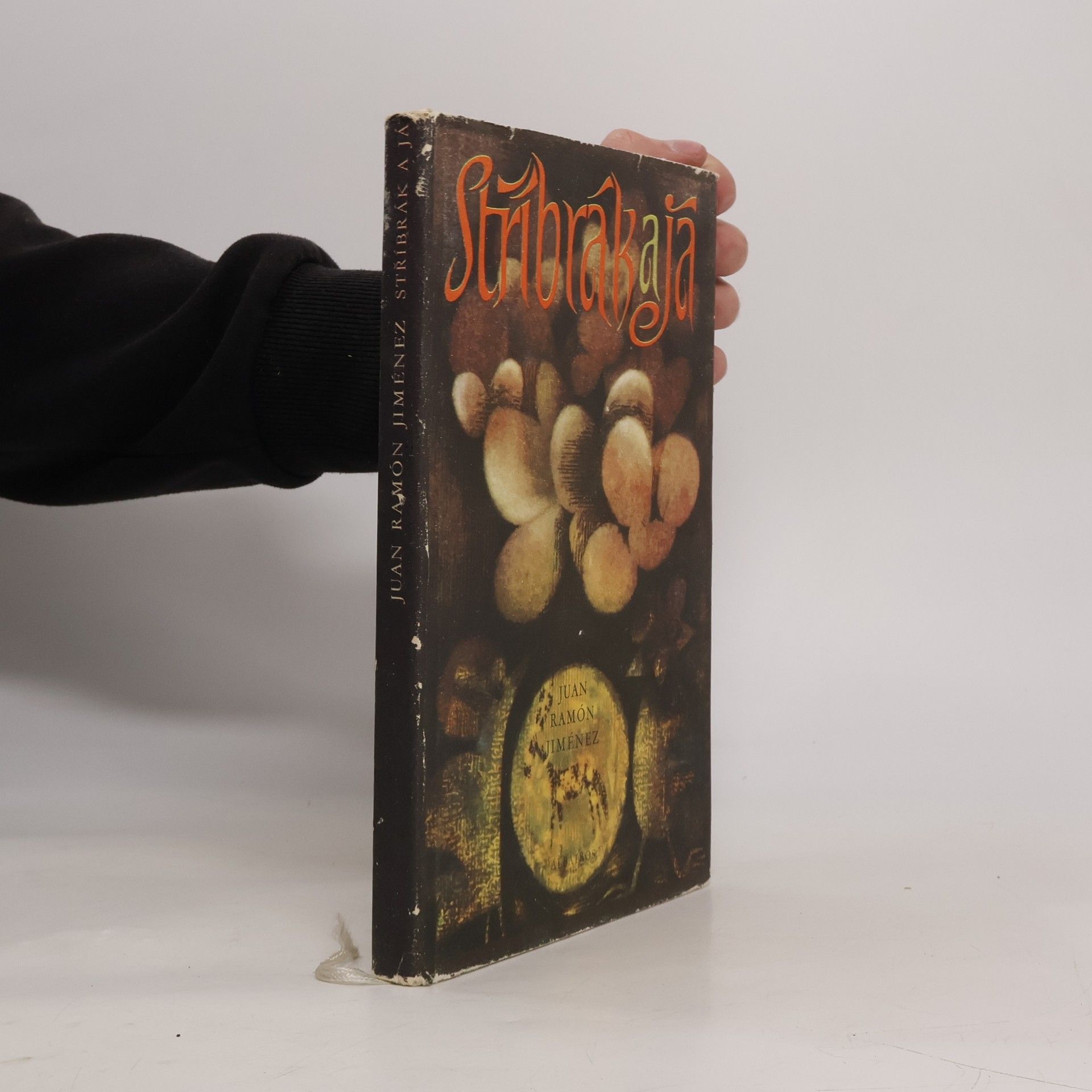 Juan Ramón Jiménez Mantecón Stříbrák a já