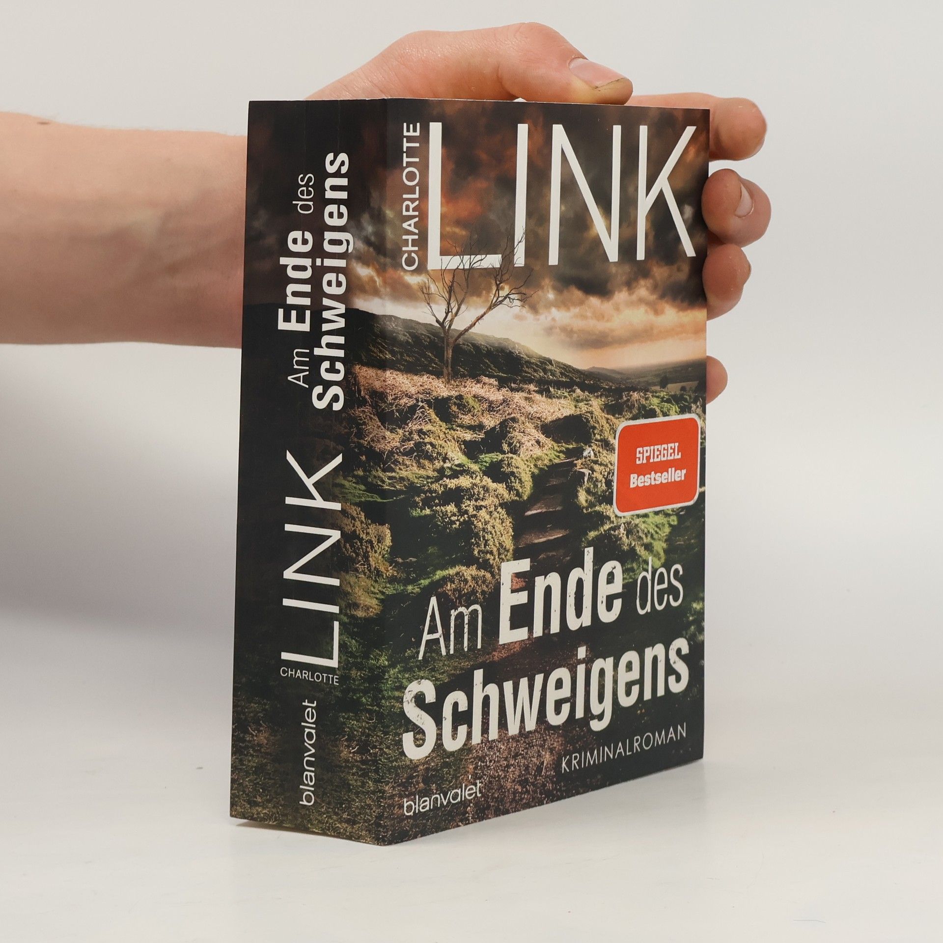 Charlotte Link Am Ende des Schweigens