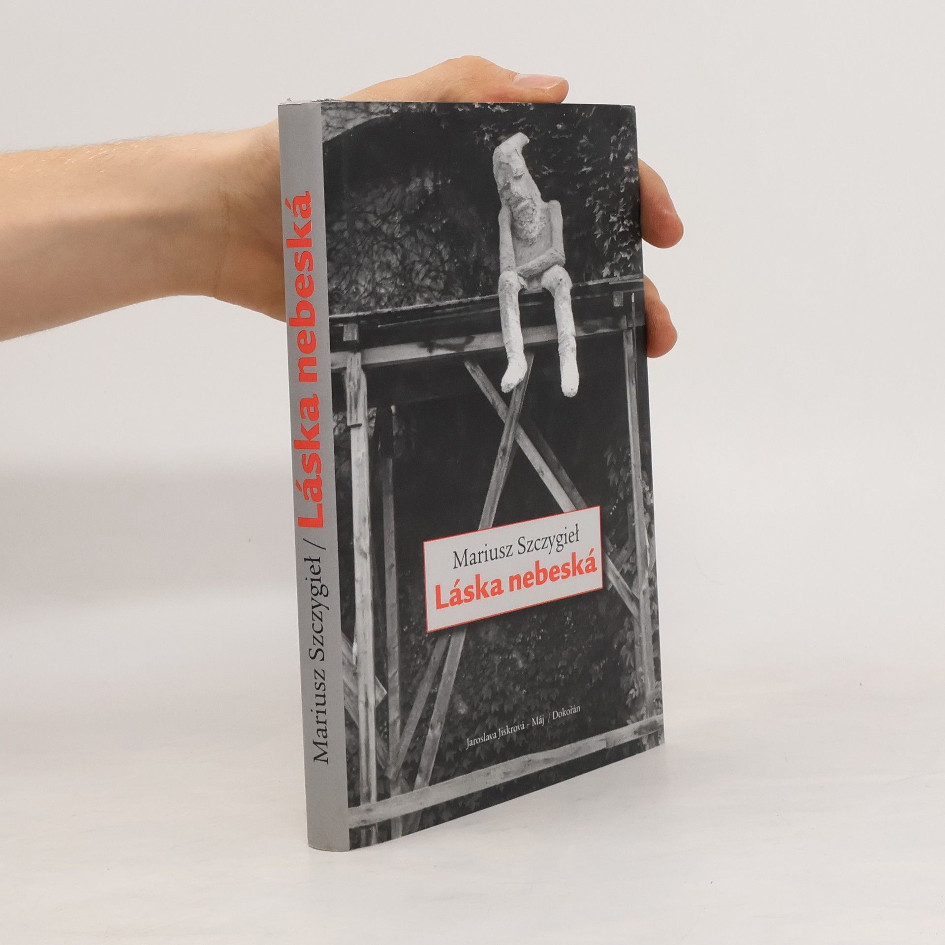 Mariusz Szczygieł Láska nebeská
