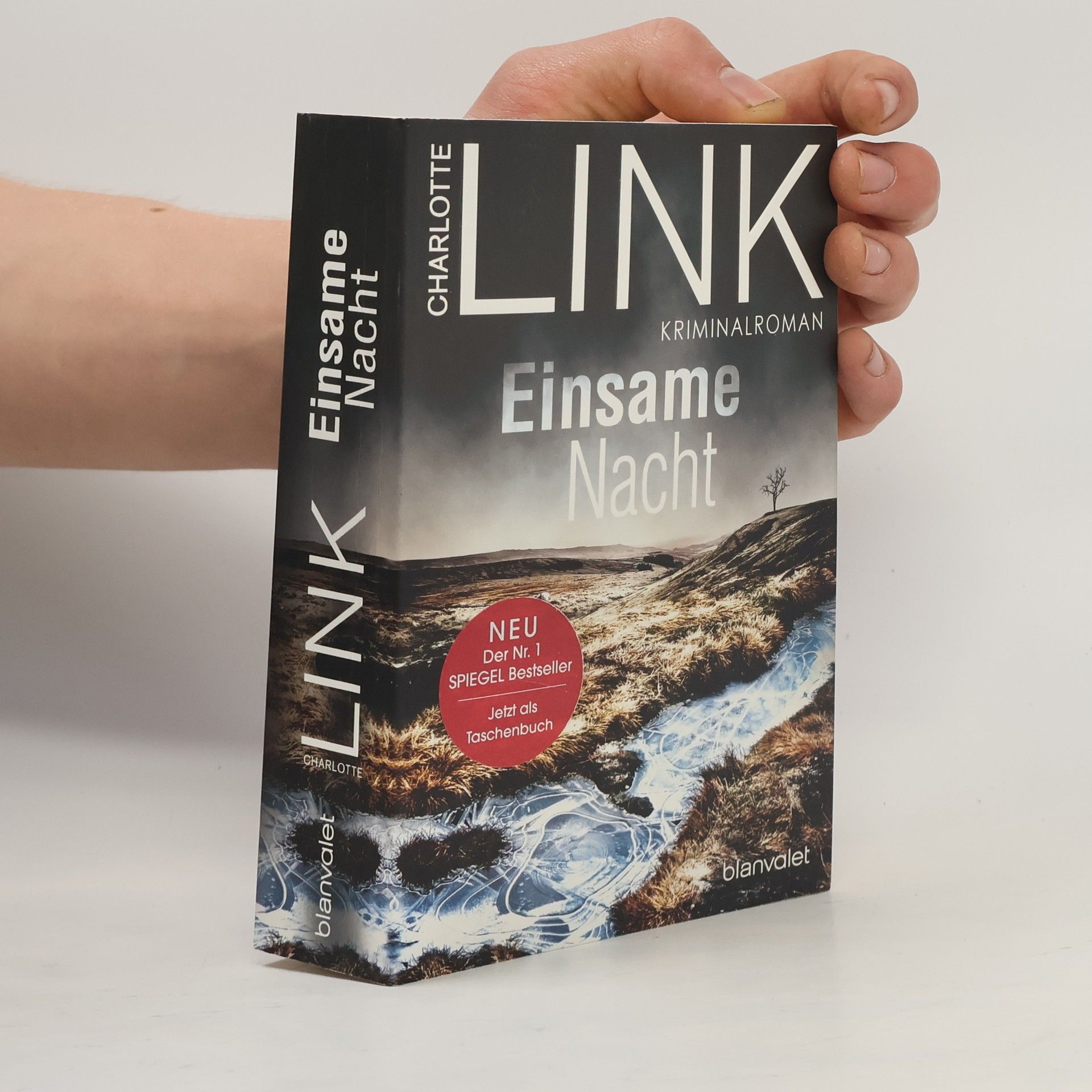 Charlotte Link Einsame Nacht