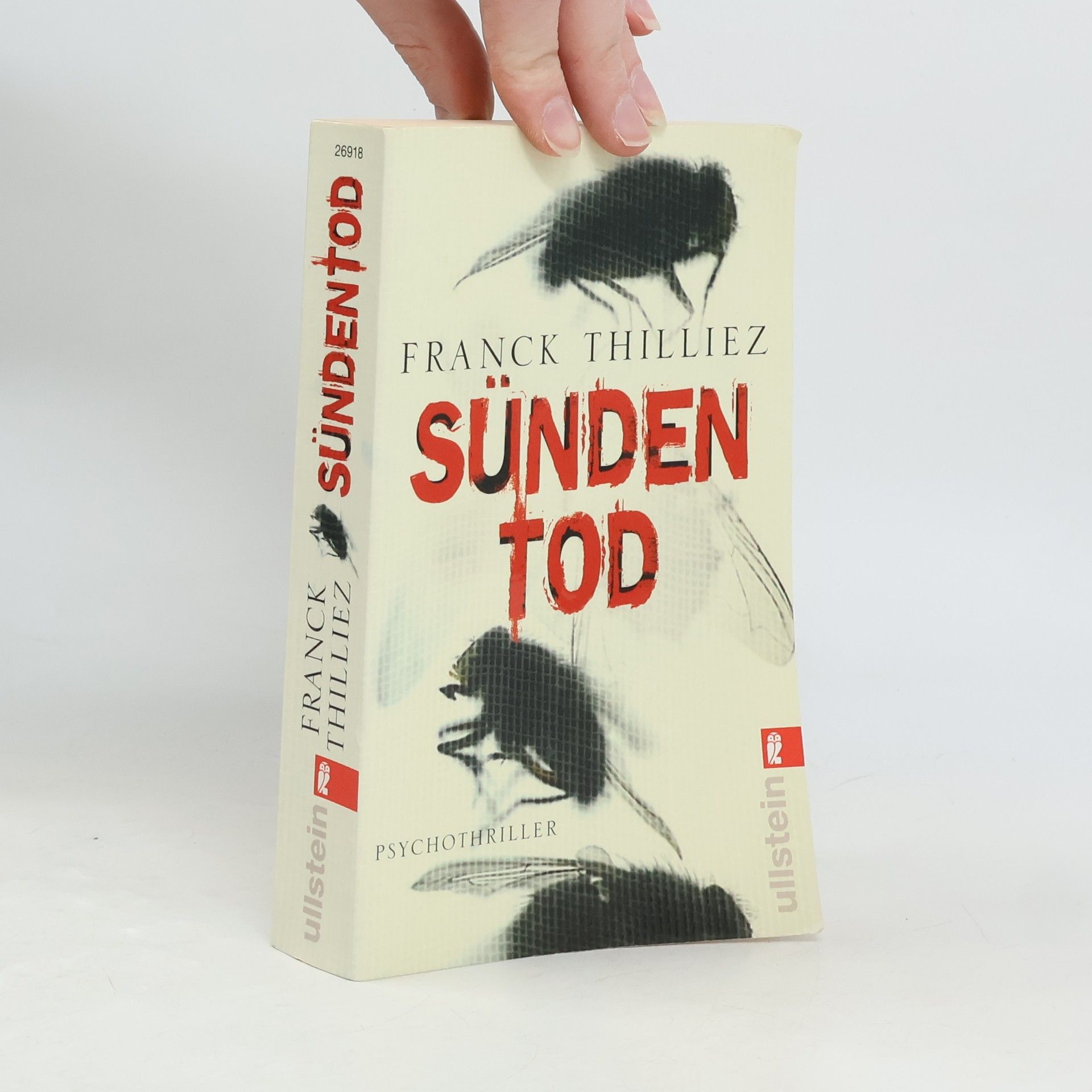 Franck Thilliez Sündentod