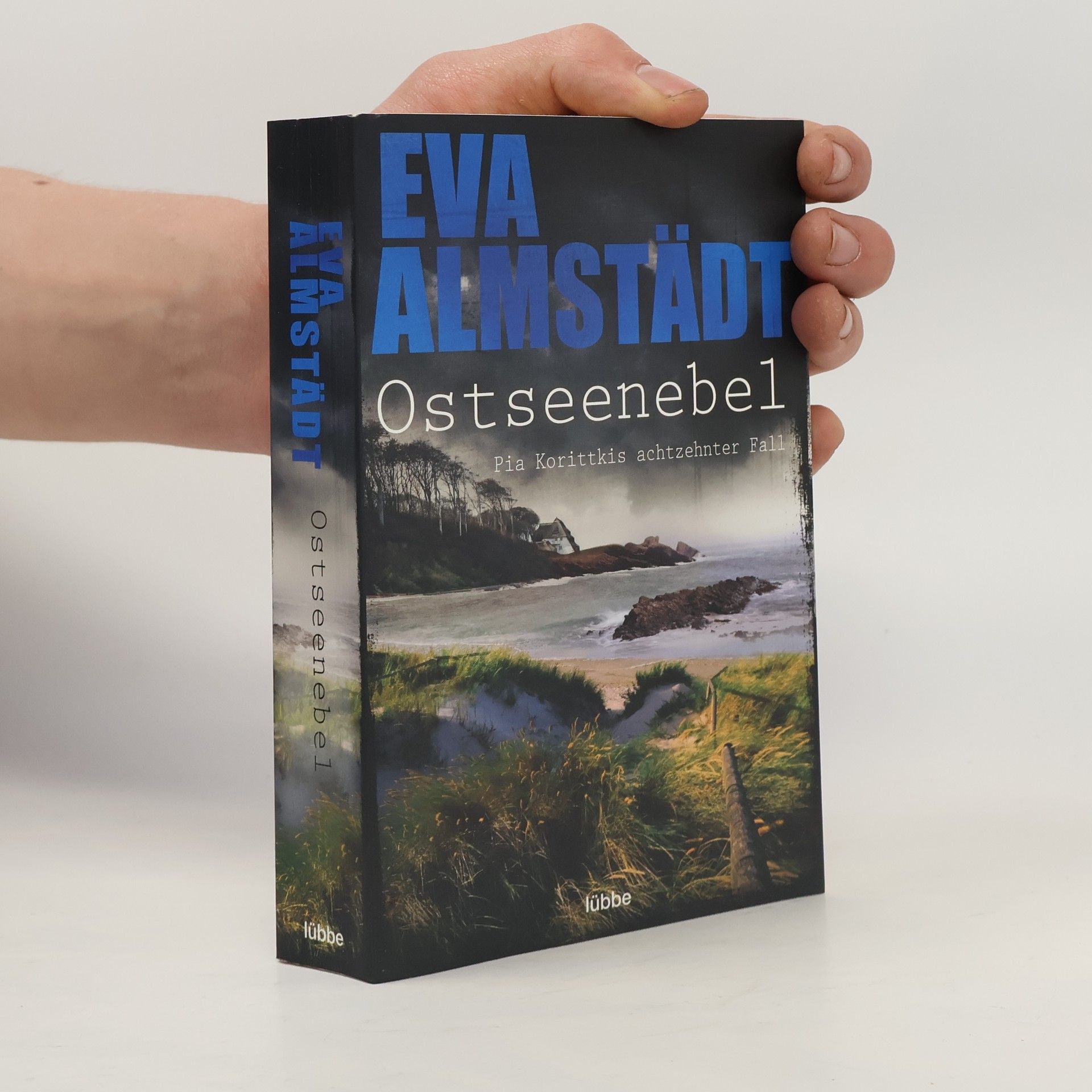 Eva Almstädt Ostseenebel