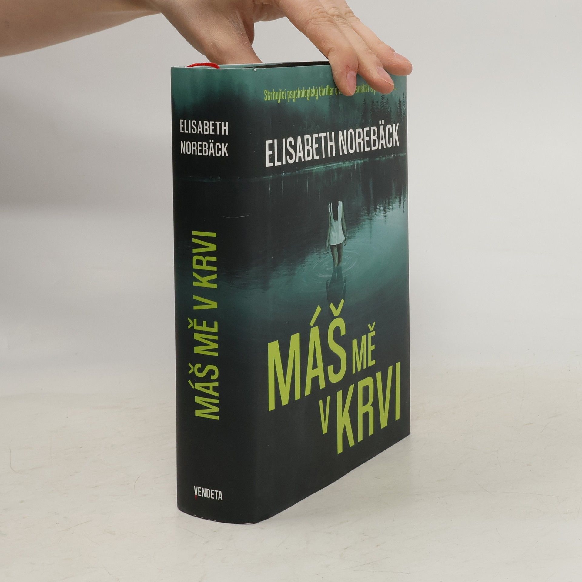 Elisabeth Norebäck Máš mě v krvi