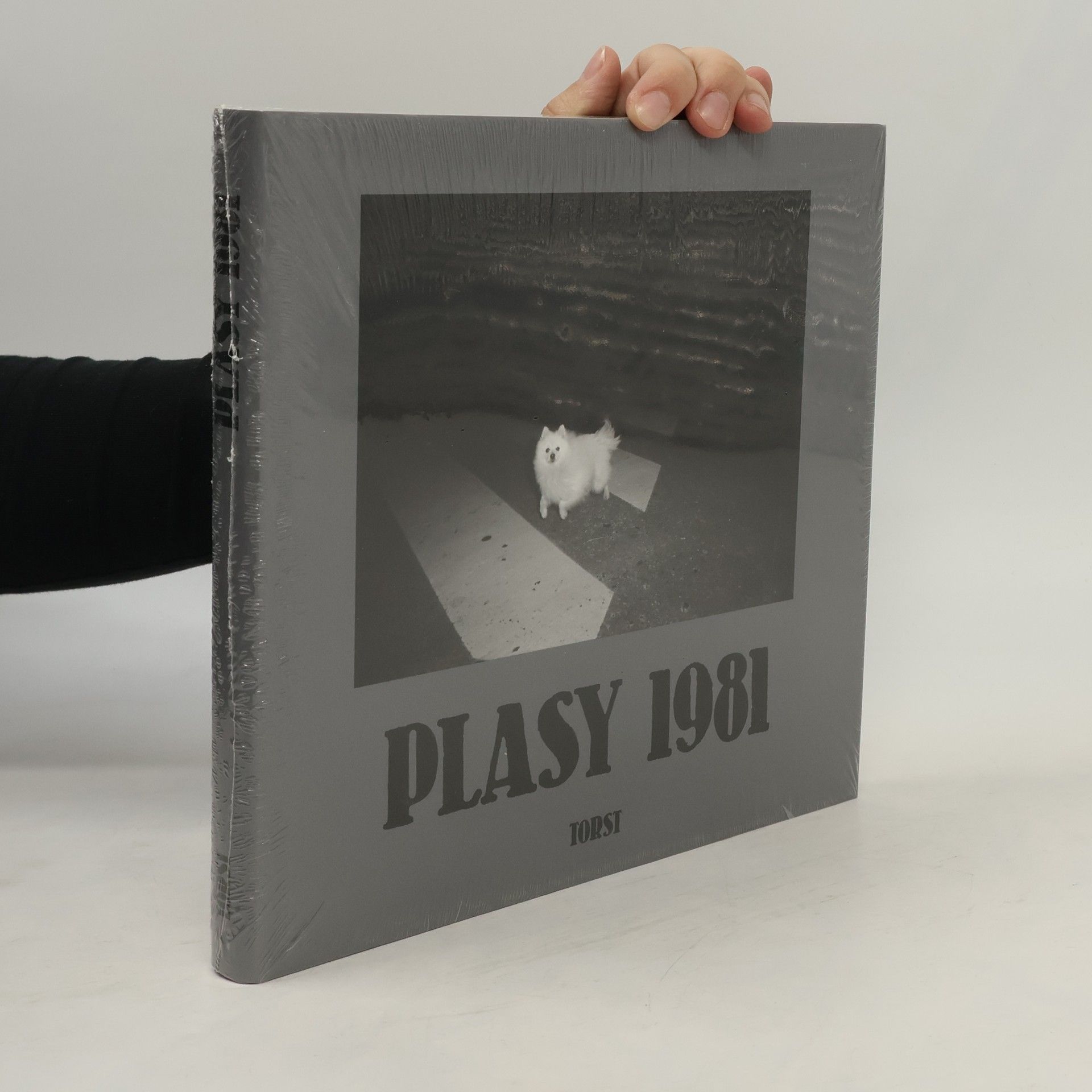 Plasy 1981