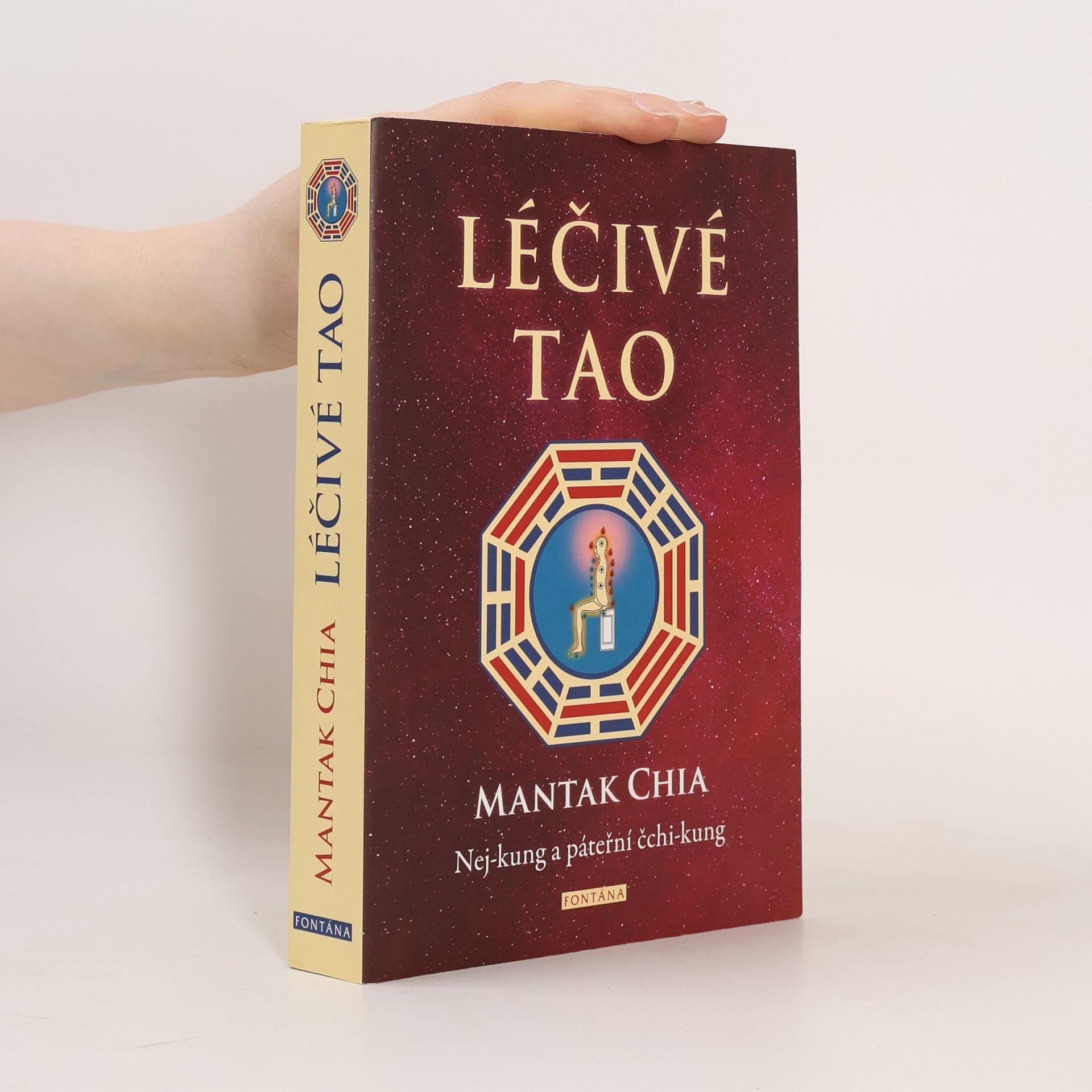 Mantak Chia Léčivé Tao : nej-kung a páteřní čchi-kung