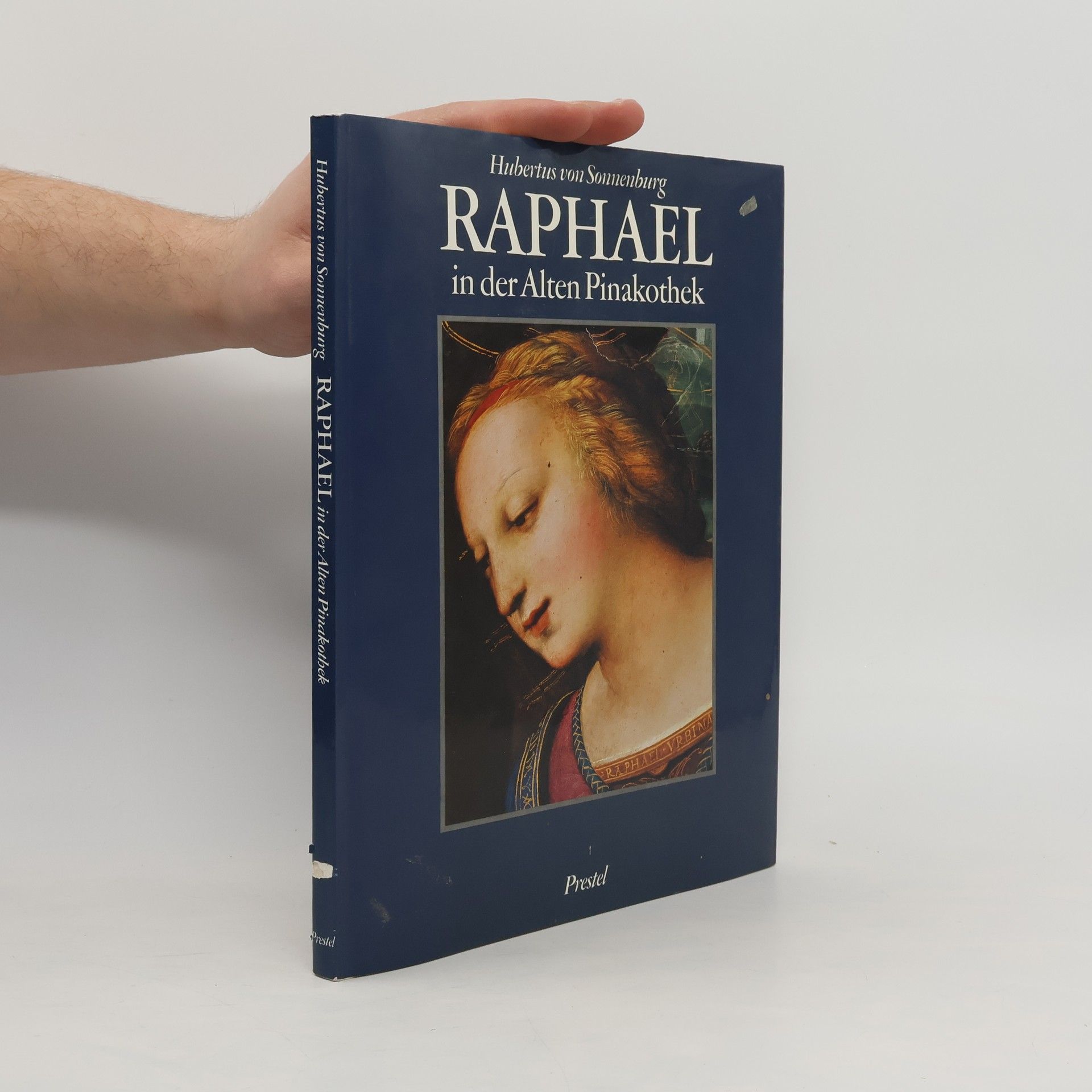 Hubertus von Sonnenburg Raphael in der Alten Pinakothek