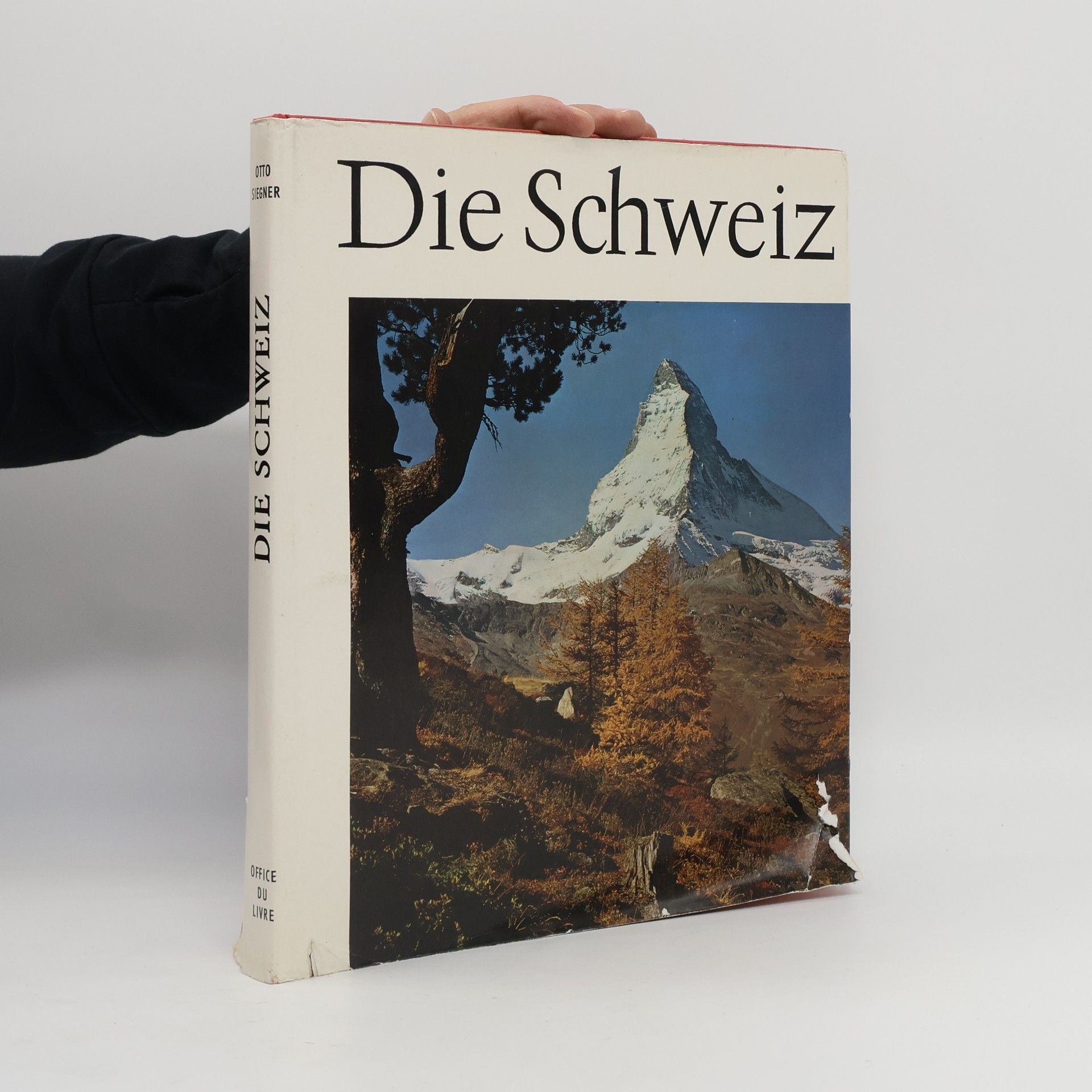 Otto Siegner Die Schweiz