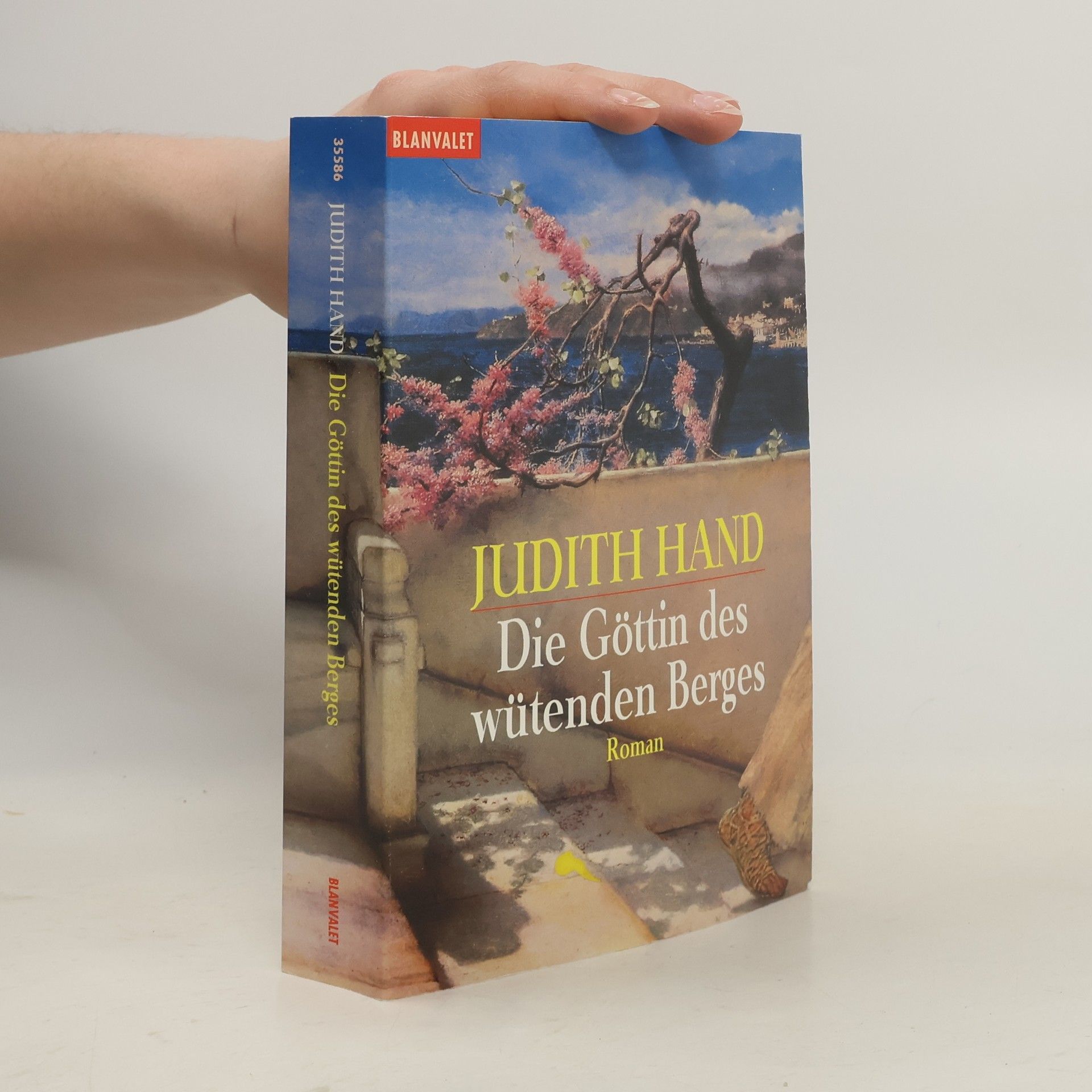 Judith Hand Die Göttin des wütenden Berges