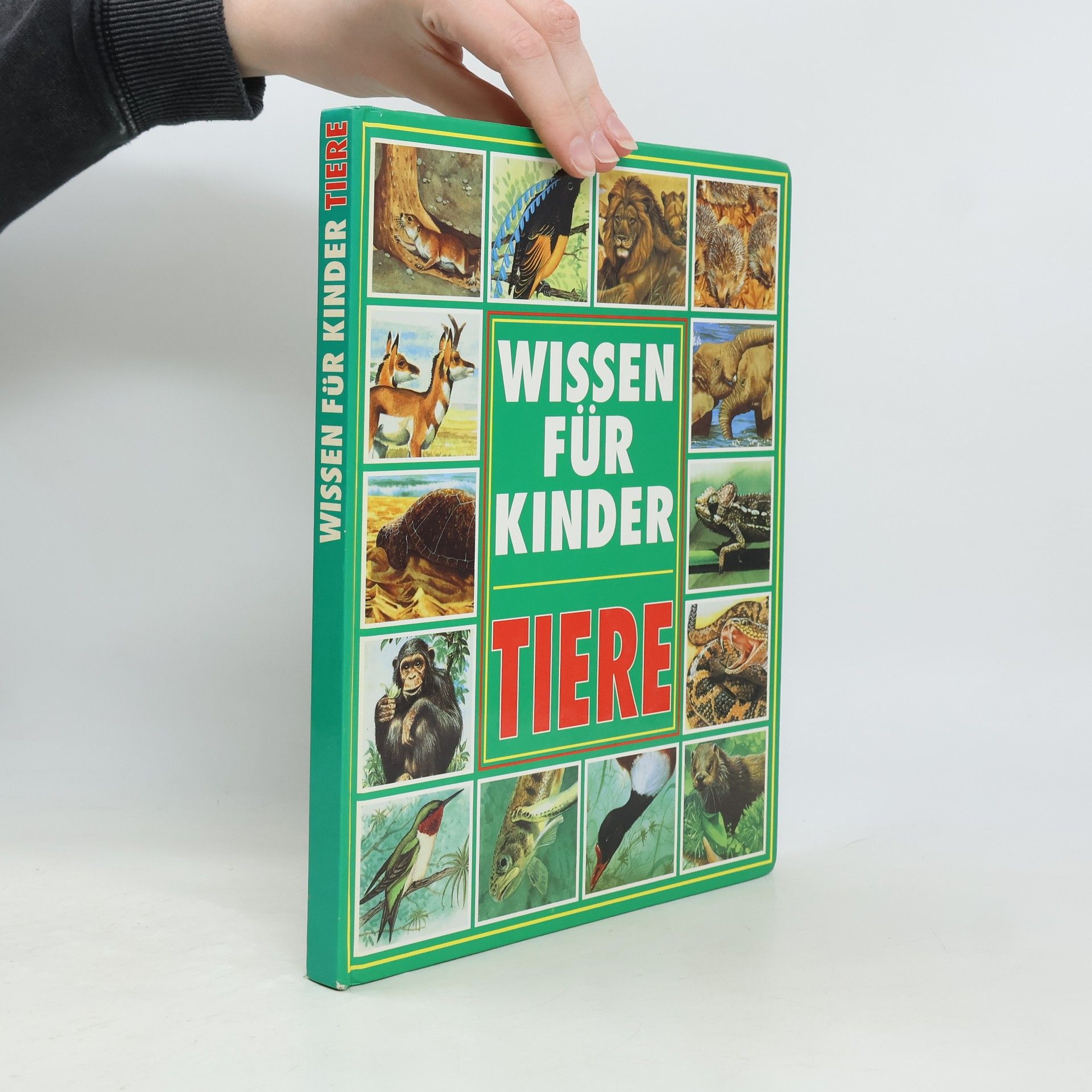 Michele Stable Tiere. Wissen für Kinder
