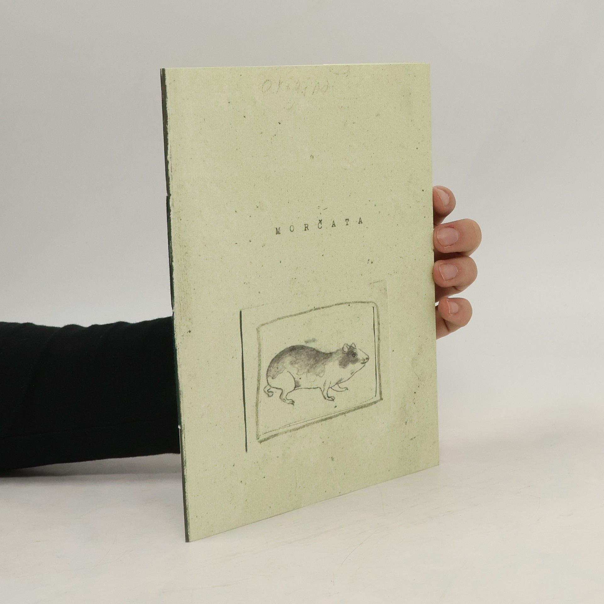 Autorenkollektiv Morčata