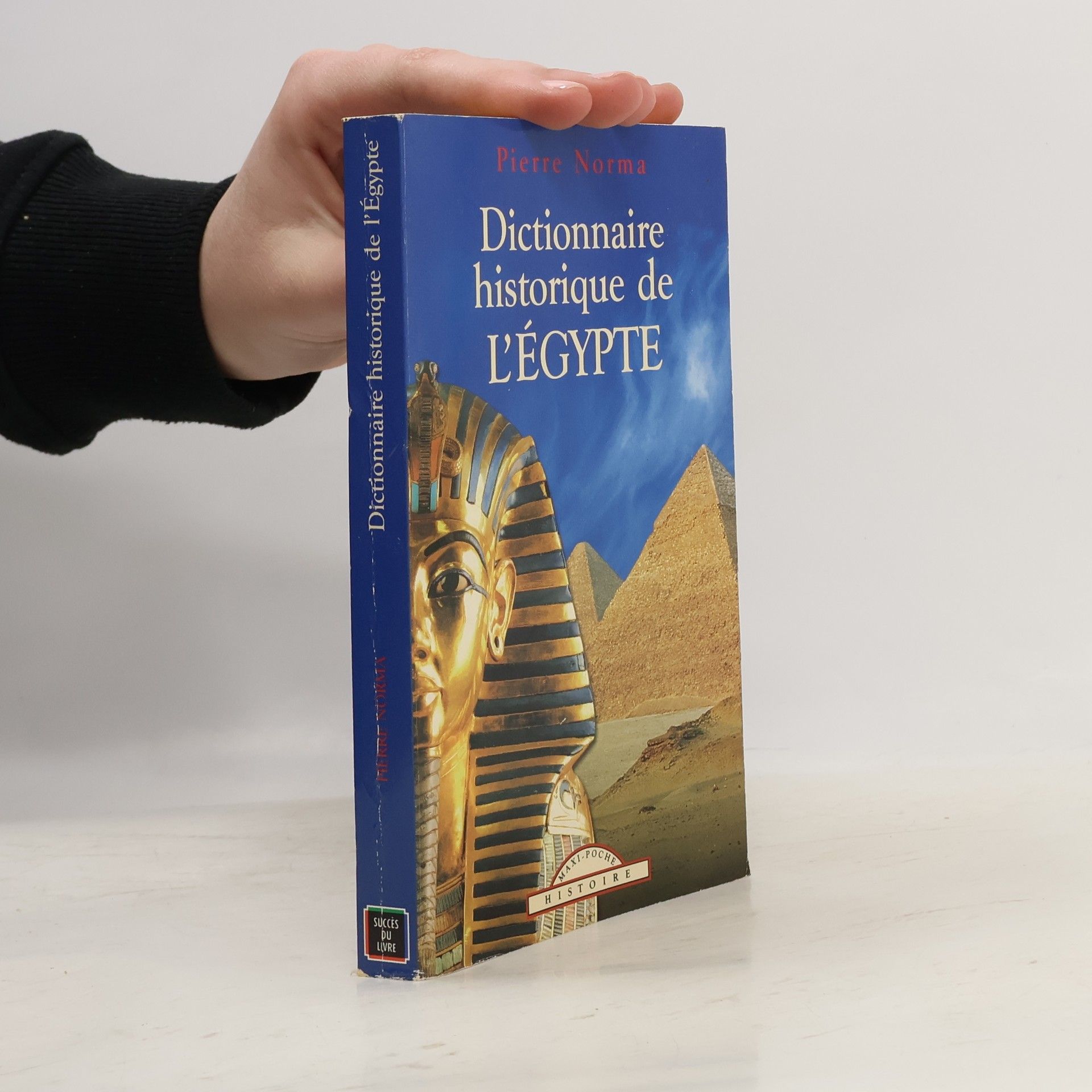 Pierre Norma Dictionnaire historique de l'Egypte