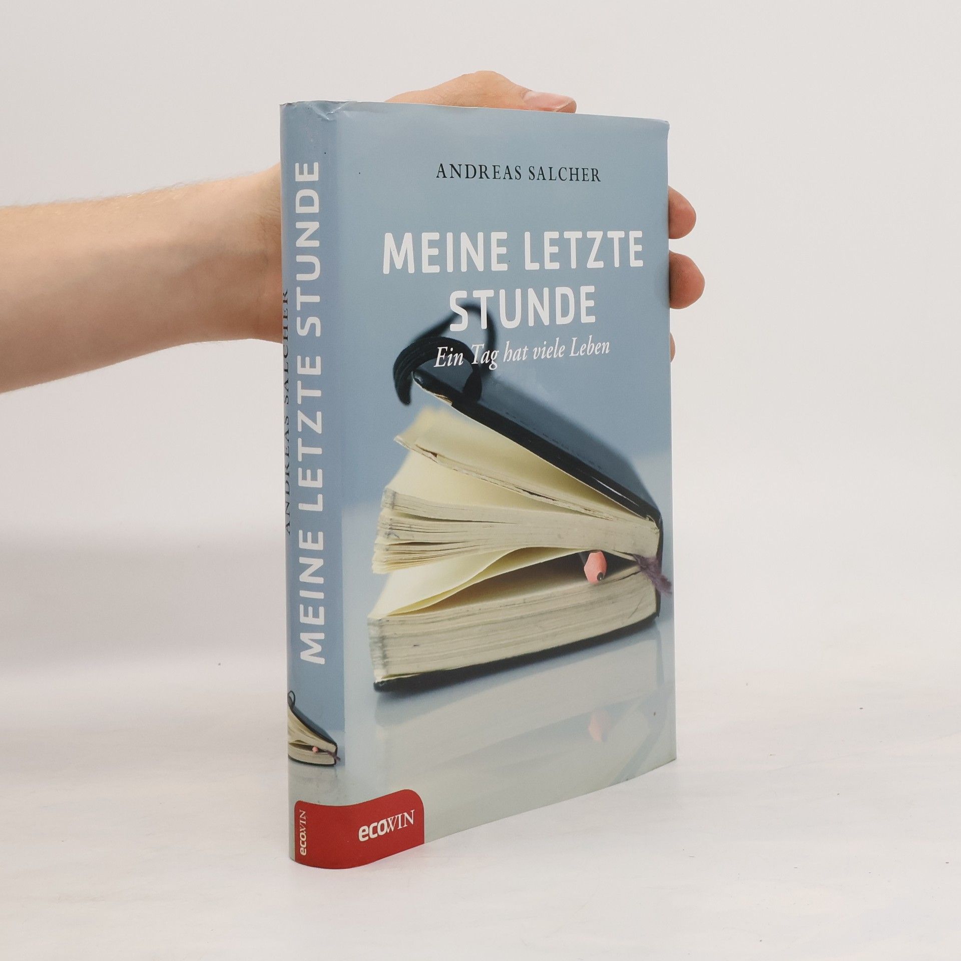 Andreas Salcher Meine letzte Stunde