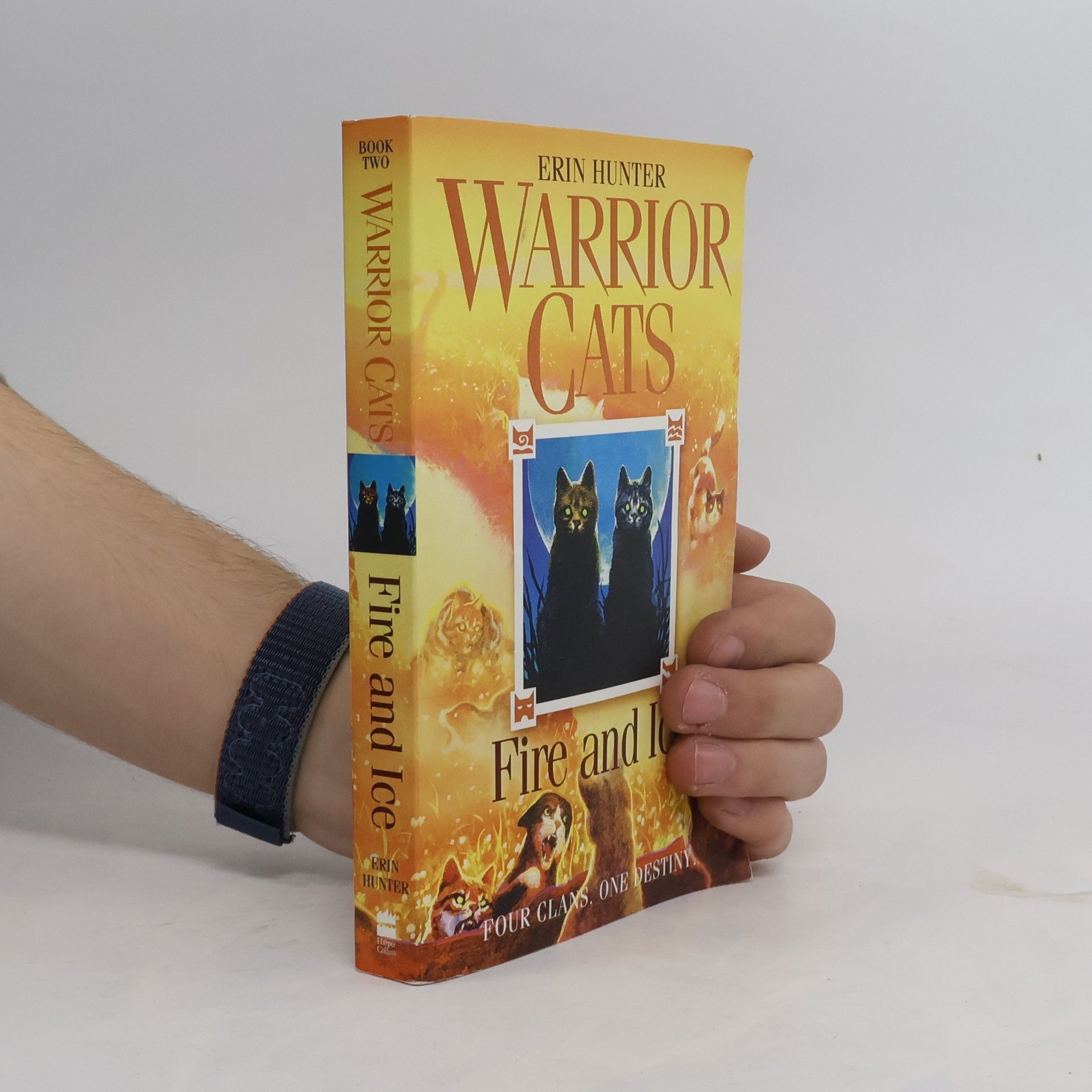 Erin Hunter Fire and Ice