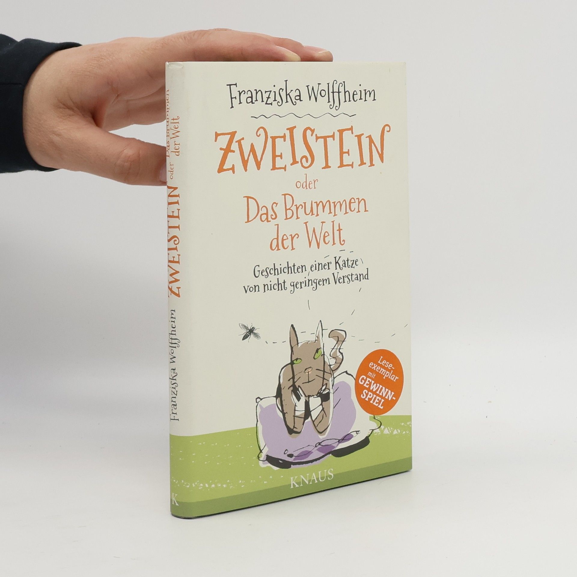 Franziska Wolffheim Zweistein oder Das Brummen der Welt