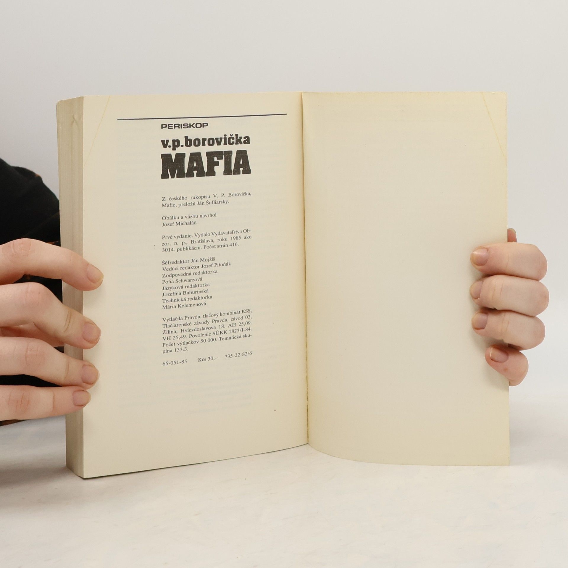 Václav Pavel Borovička Mafia