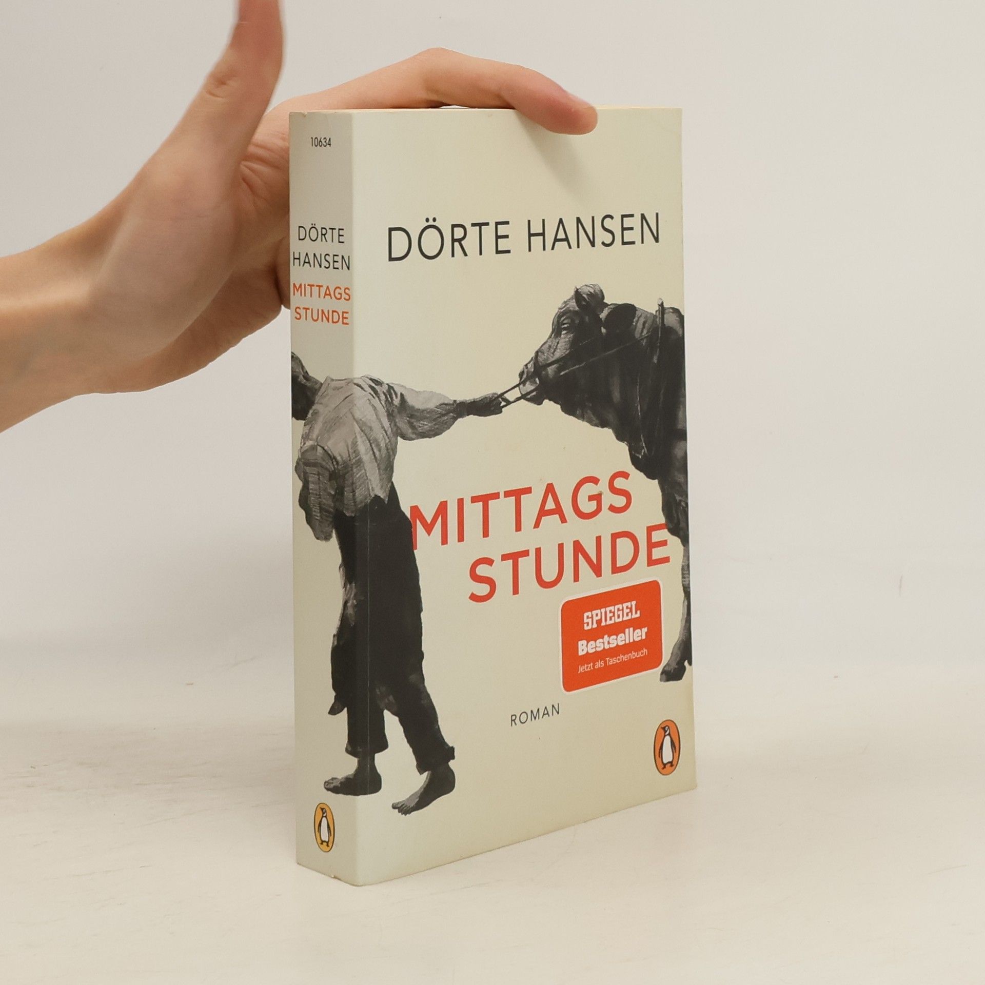 Dörte Hansen Mittagsstunde