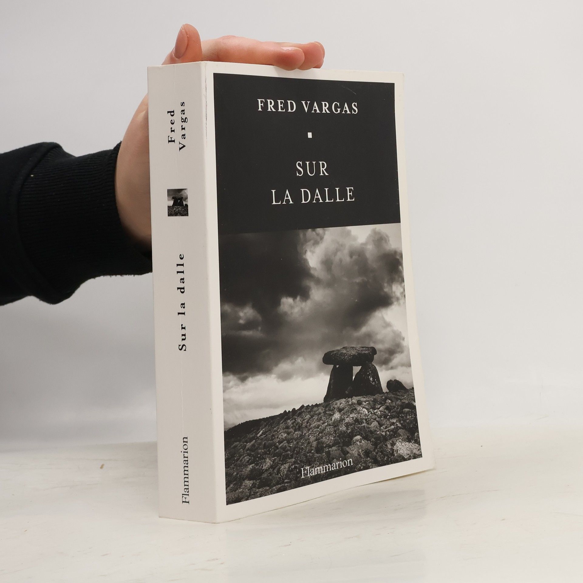 Fred Vargas Sur la dalle