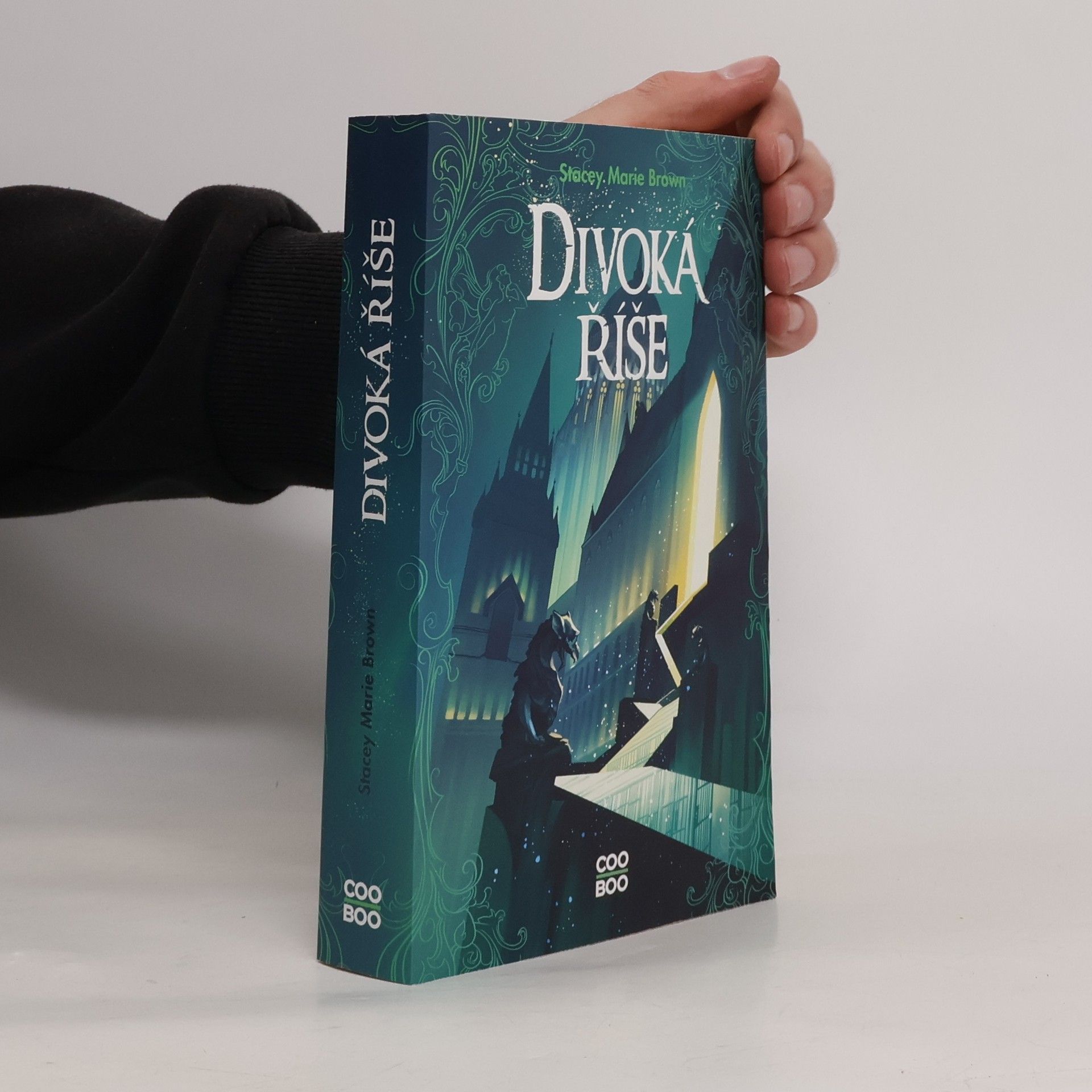 Stacey Marie Brown Divoká říše