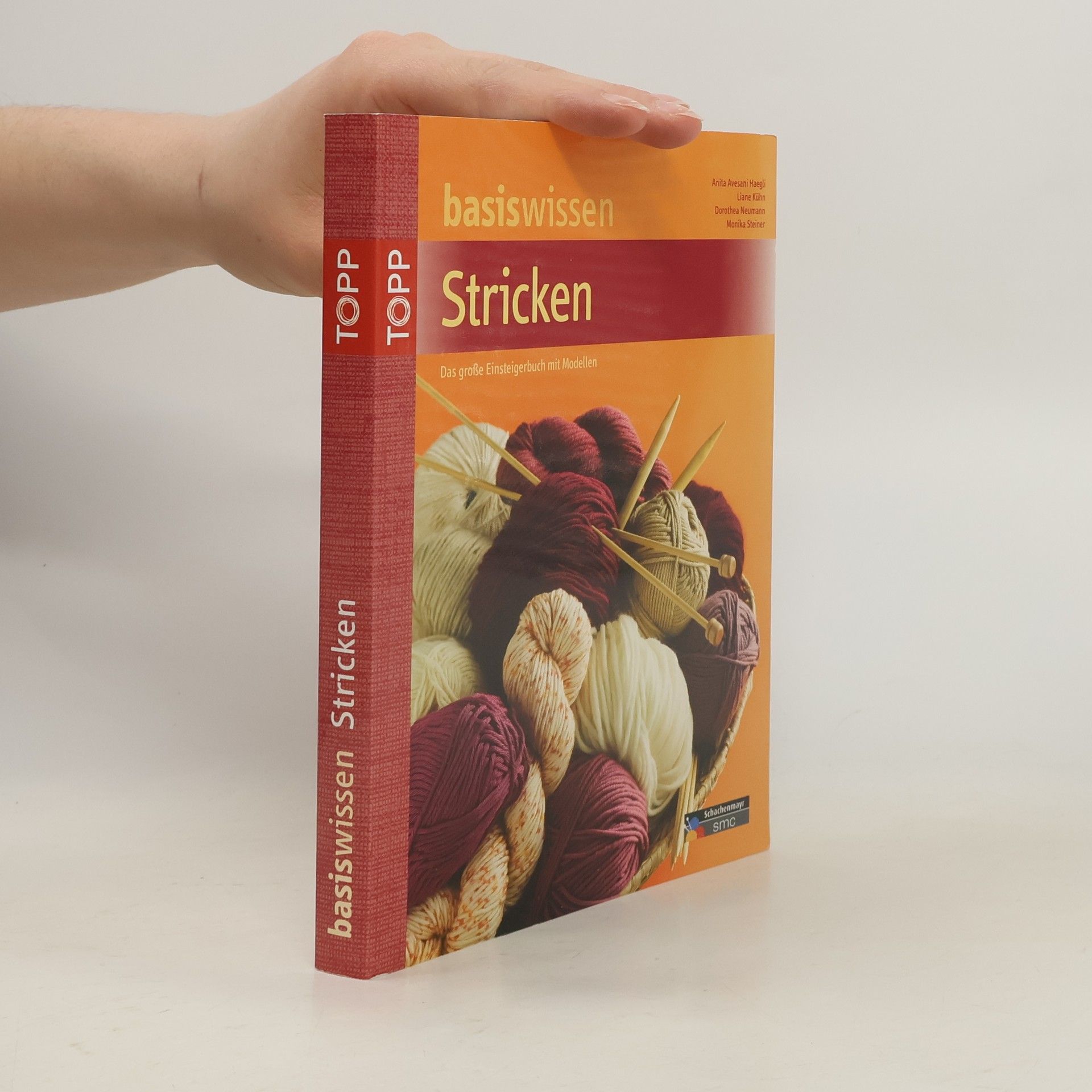 Anita Avesani Haegeli Basiswissen Stricken