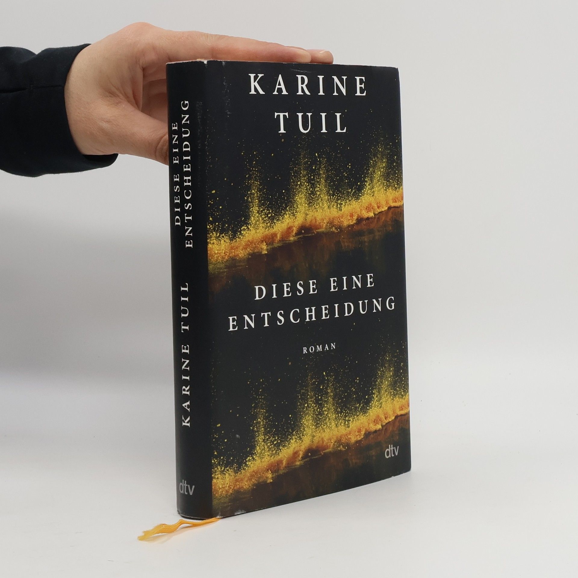 Karine Tuil Diese eine Entscheidung