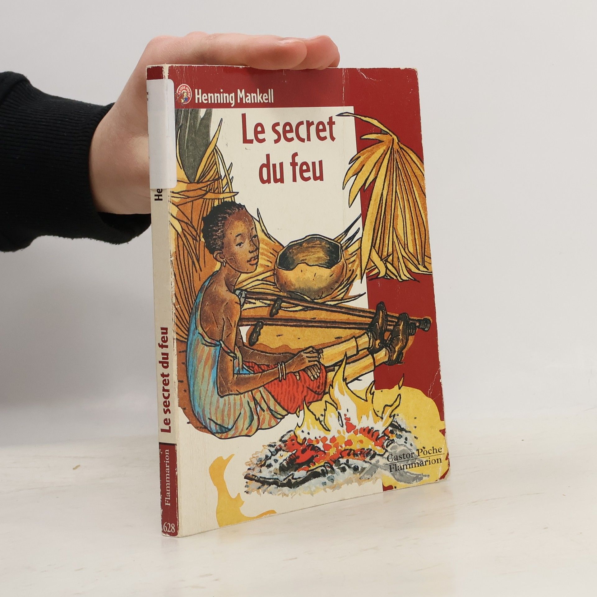 Henning Mankell Le Secret du feu