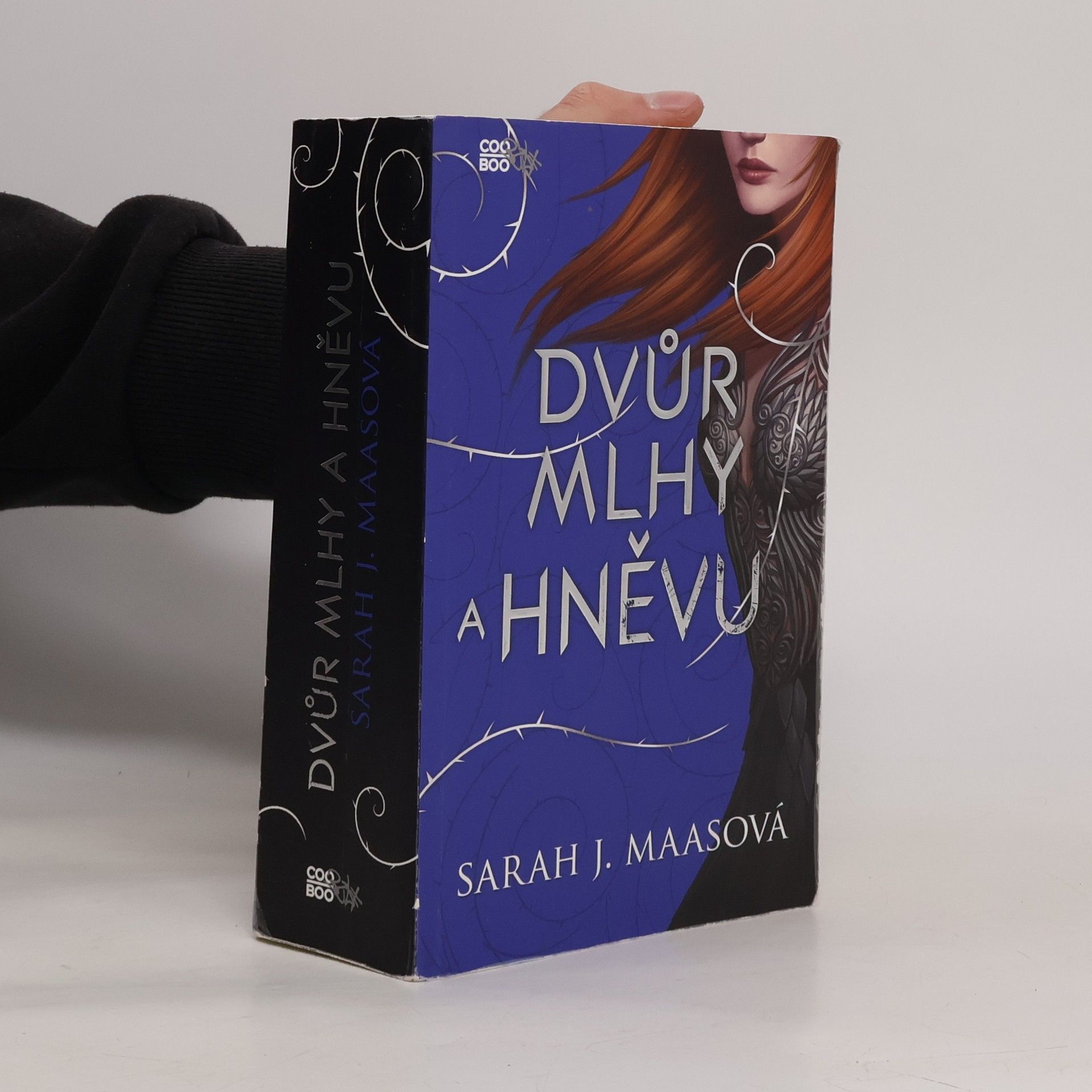 Sarah J. Maas Dvůr mlhy a hněvu