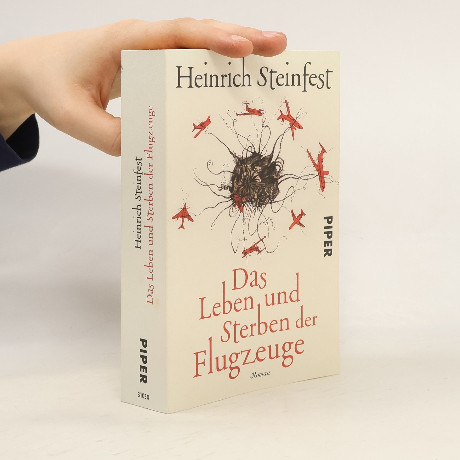 Heinrich Steinfest Das Leben und Sterben der Flugzeuge