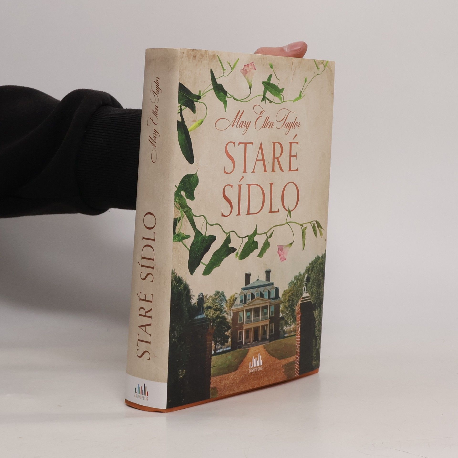 Mary Ellen Taylor Staré sídlo