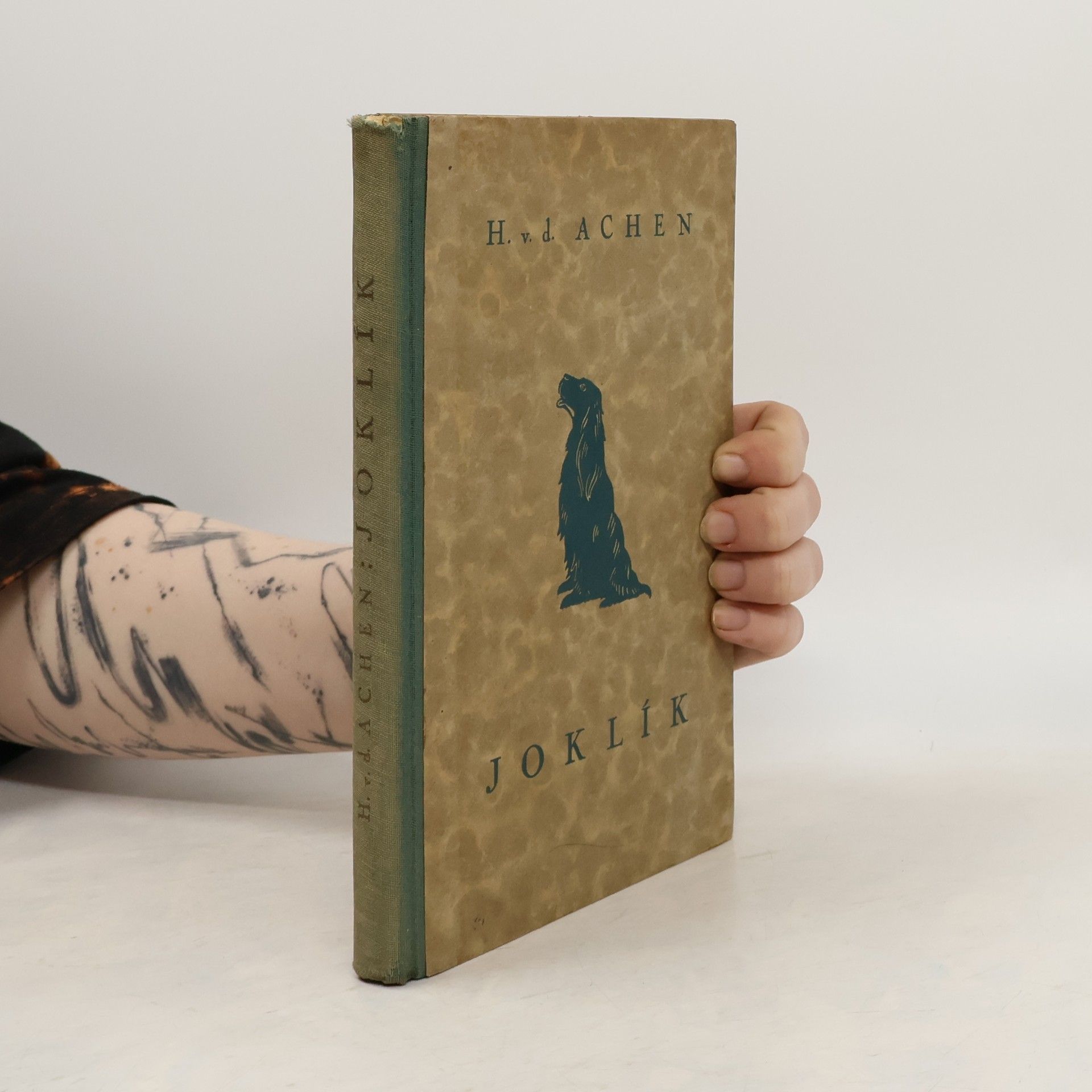 Heinz von der Achen Joklík