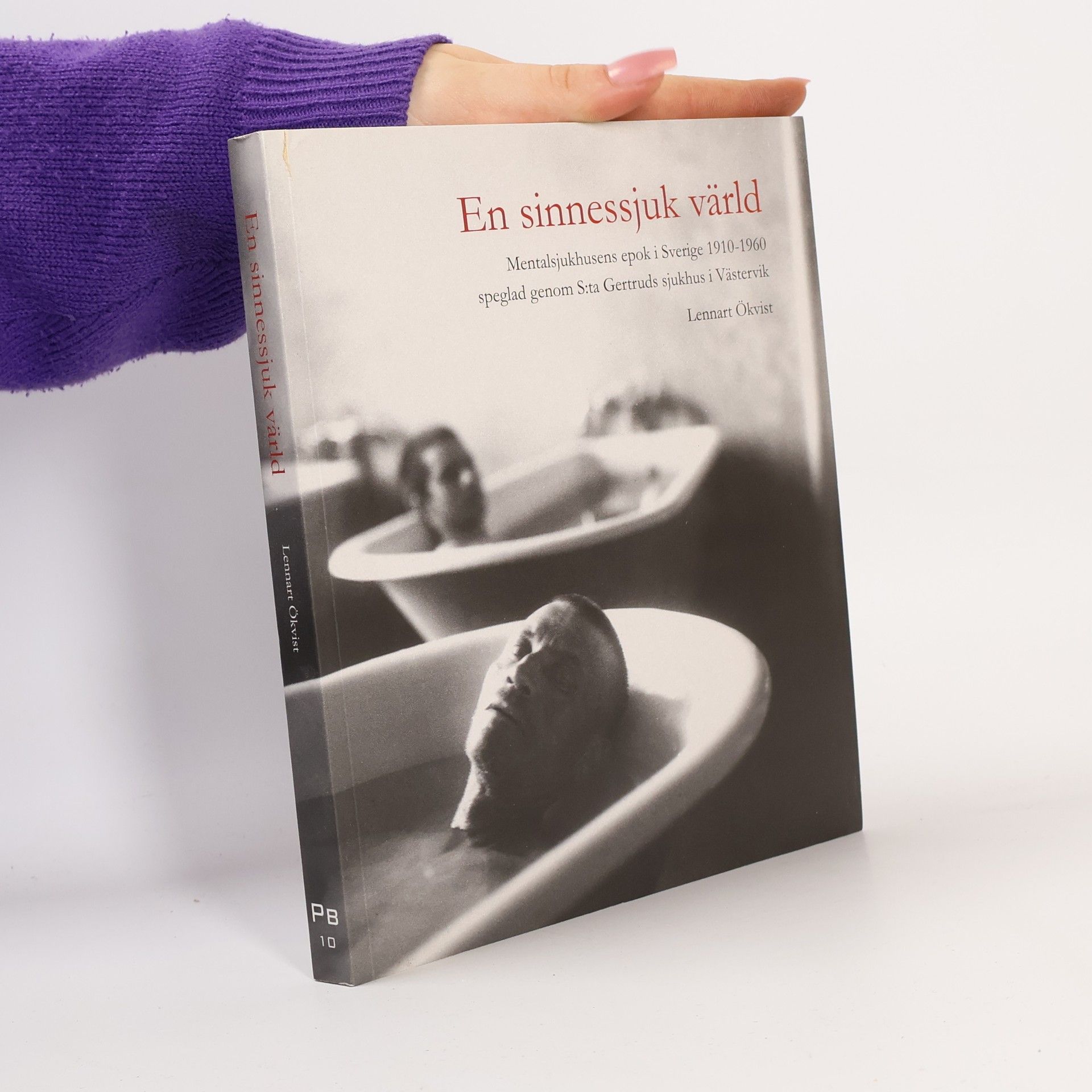 Lennart Ökvist En sinnessjuk värld