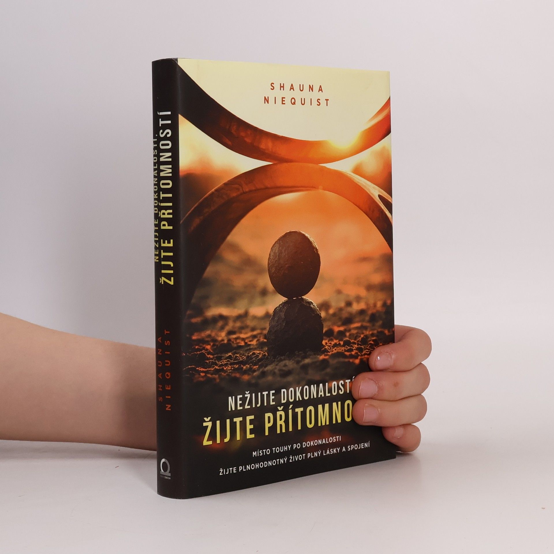 Shauna Niequist Nežijte dokonalostí, žijte přítomností